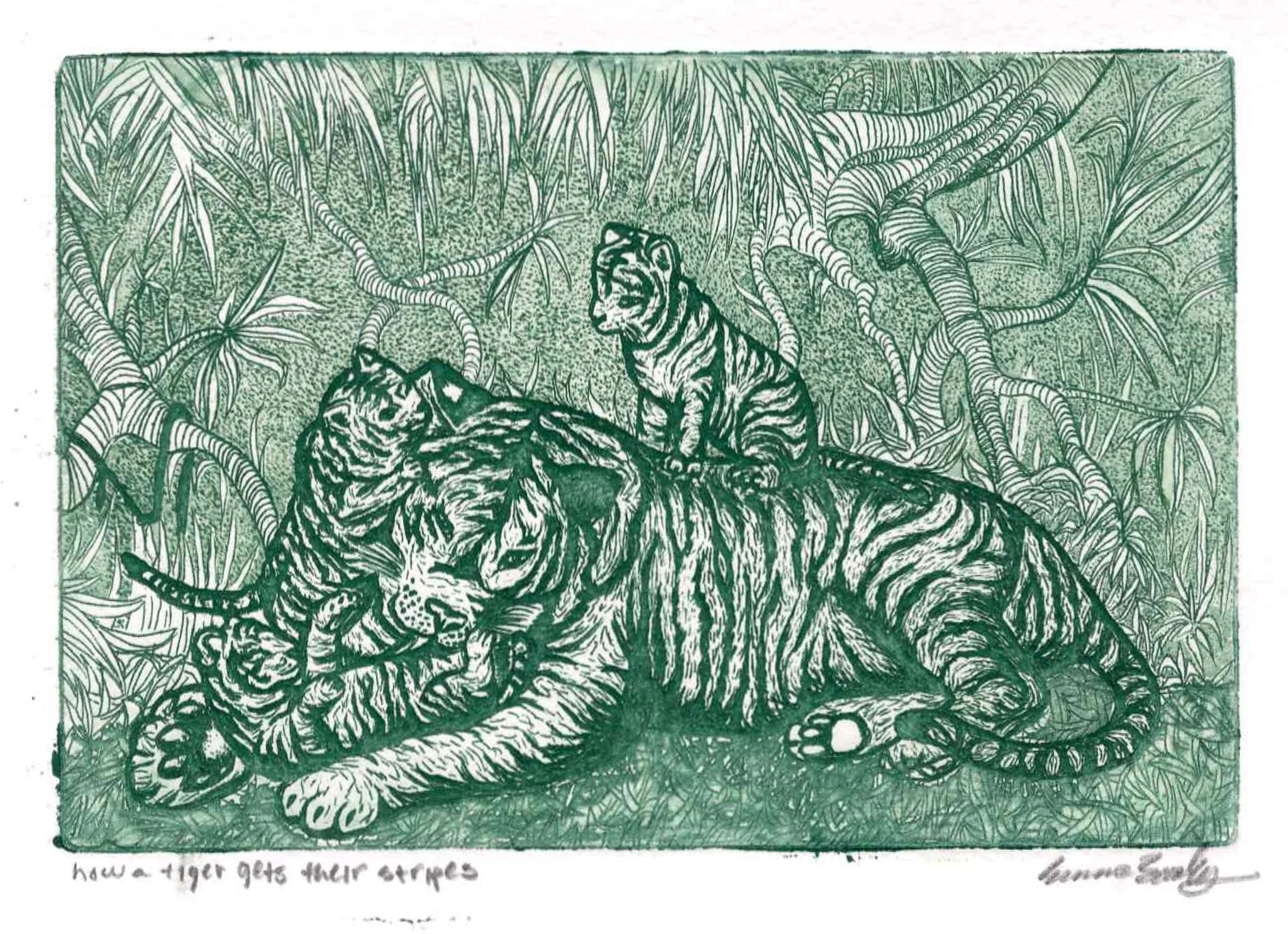 How a tiger gets their stripes, Intaglio, 1 color