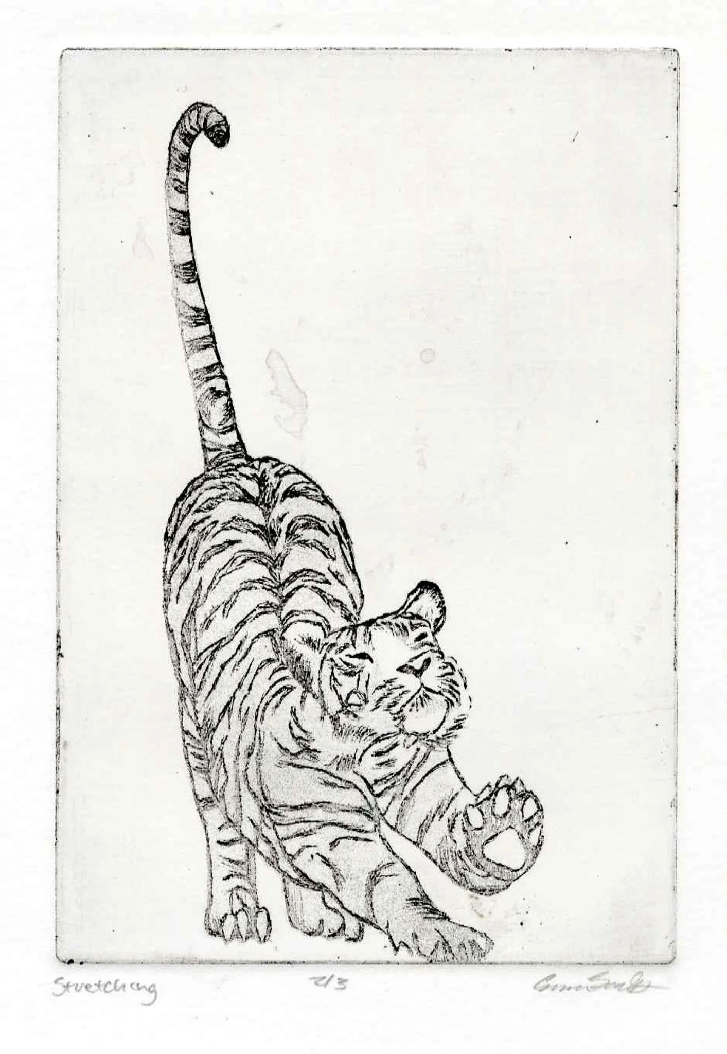 Stretching, Intaglio, 1 color