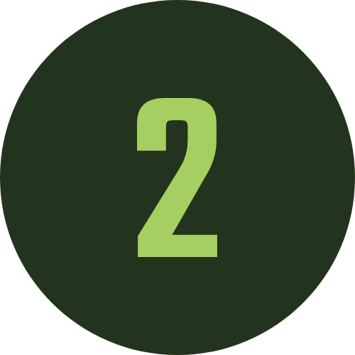 Decorative #2 icon