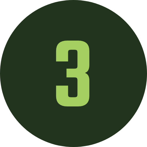 Decorative #3 icon