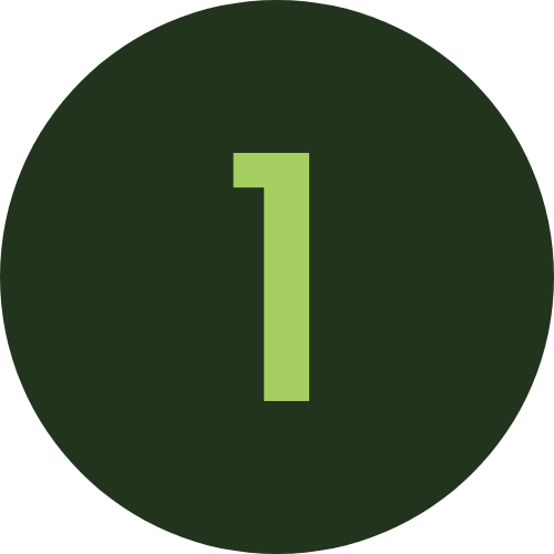Decorative #1 icon