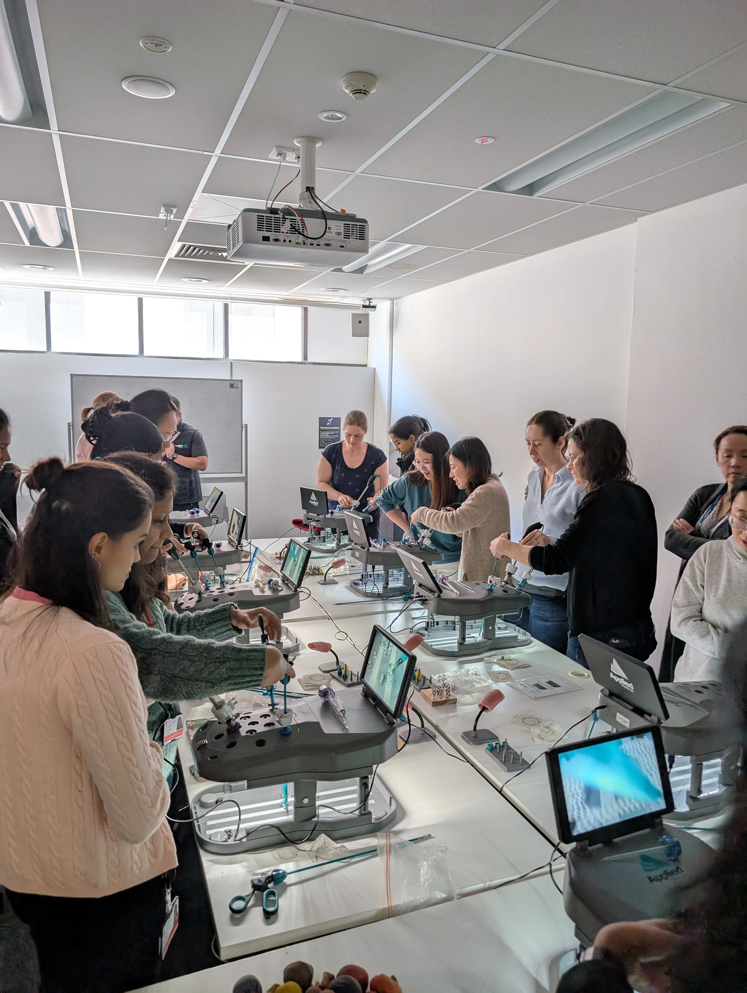 Nepean Gynaecology Laparoscopy workshop