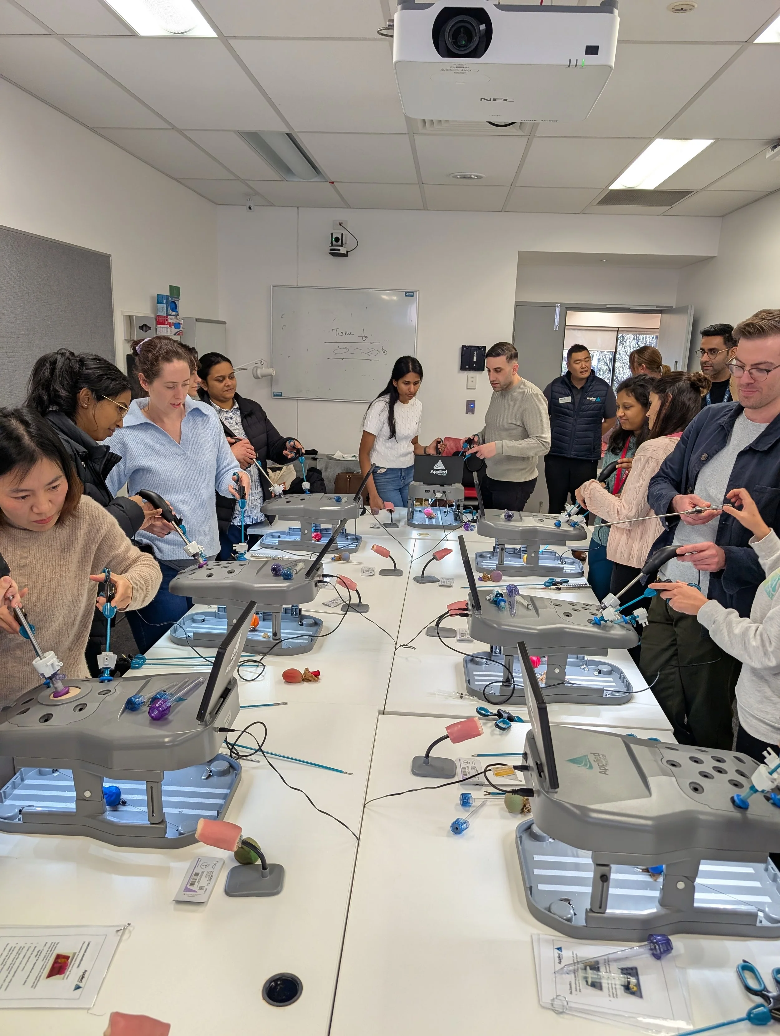 Nepean Gynaecology Laparoscopy workshop