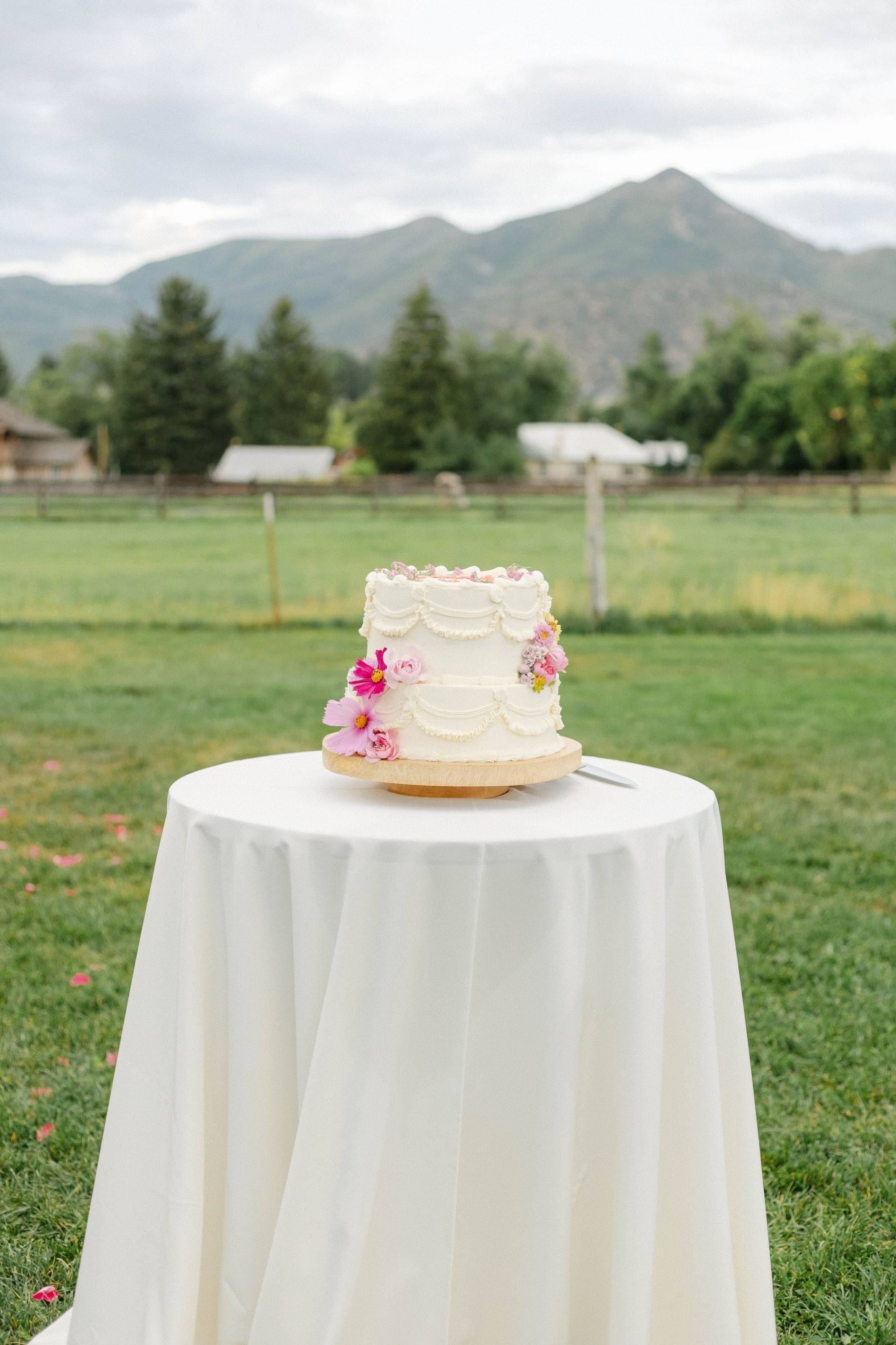 A white wedding cake decorated with pink and white flowers, placed on a round table with a white tablecloth outdoors, with a backdrop of green grass, trees, a wooden fence, and mountains under a cloudy sky.