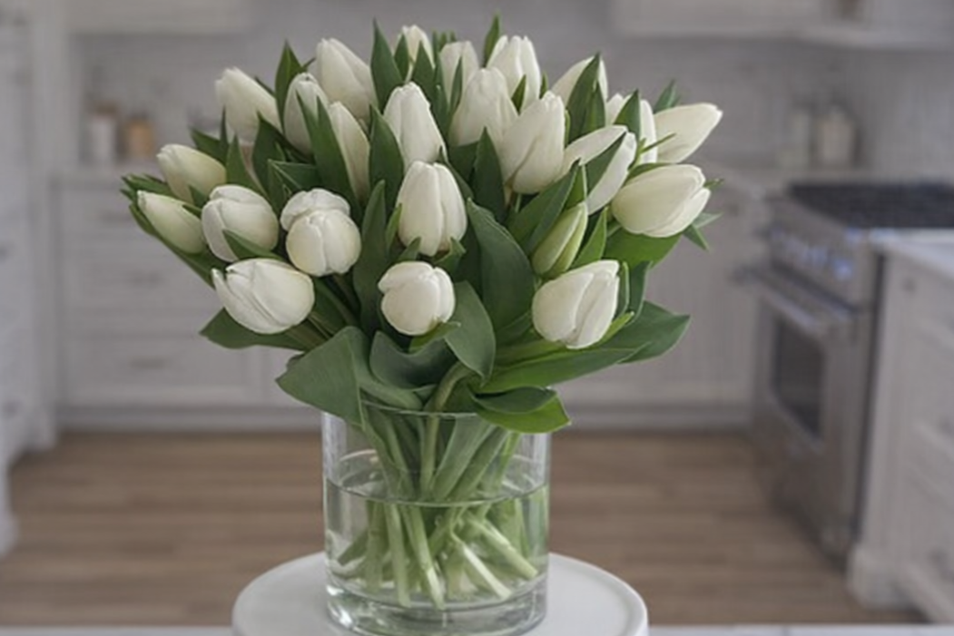 Tulips+on+kitchen+st.png