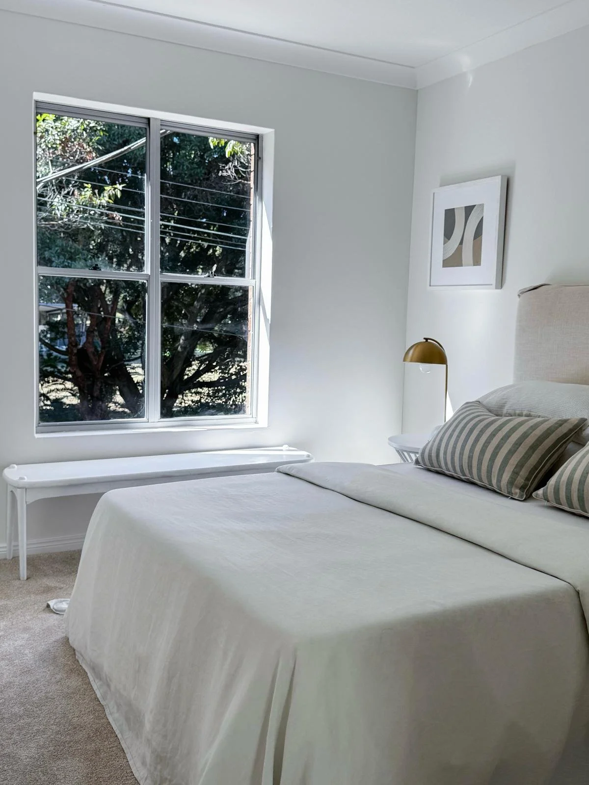 WhatsApp Image 2026-02-04 at 8.19.00 AM.jpeg