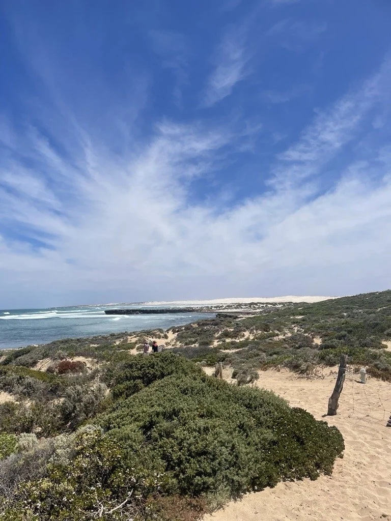 scenic landscape of Cactus beach Ceduna