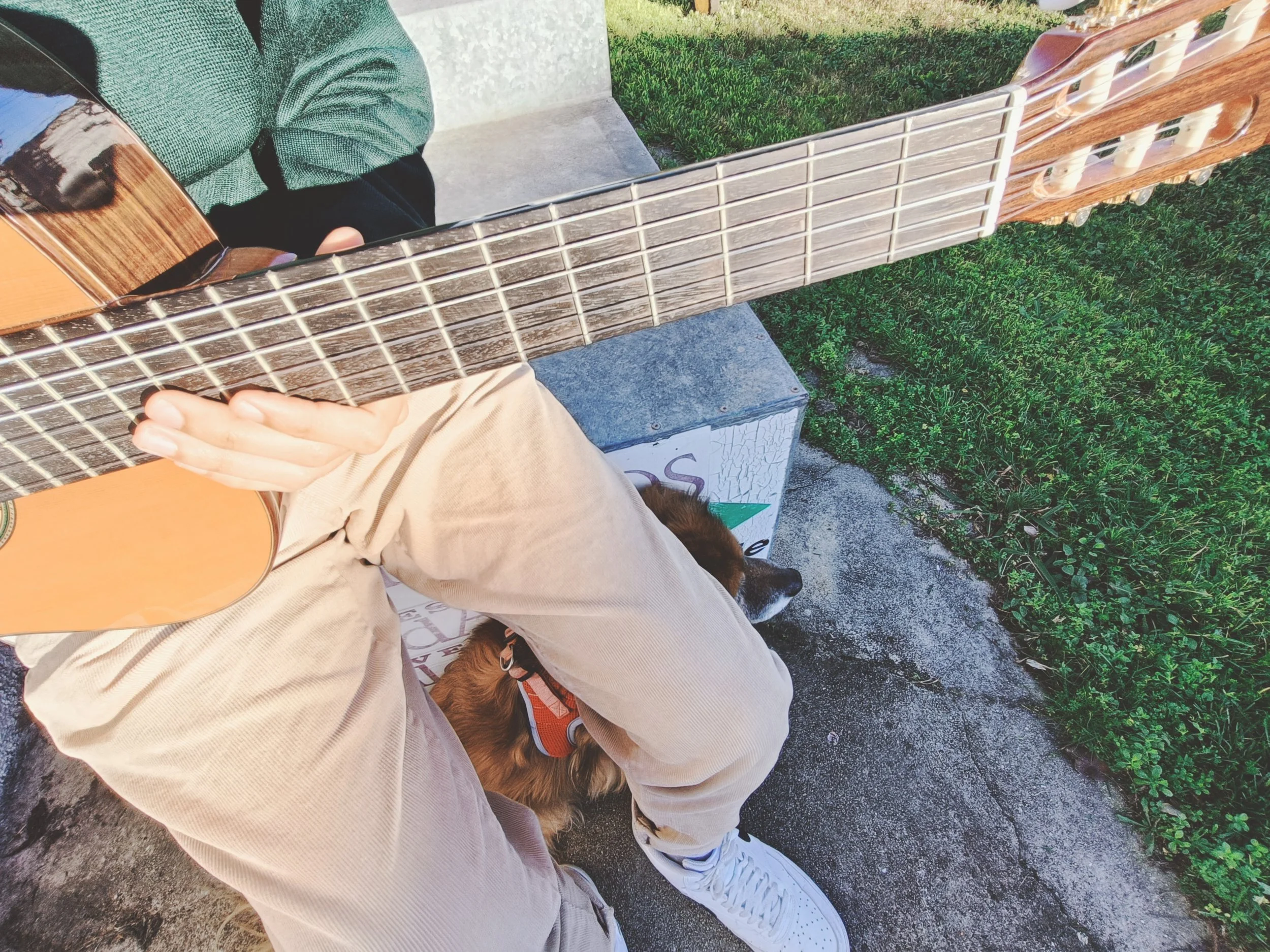 Person sitting on a bench playing an acoustic guitar, wearing a green sweater and beige pants, with a dog nearby, in a park with grass and a concrete walkway.