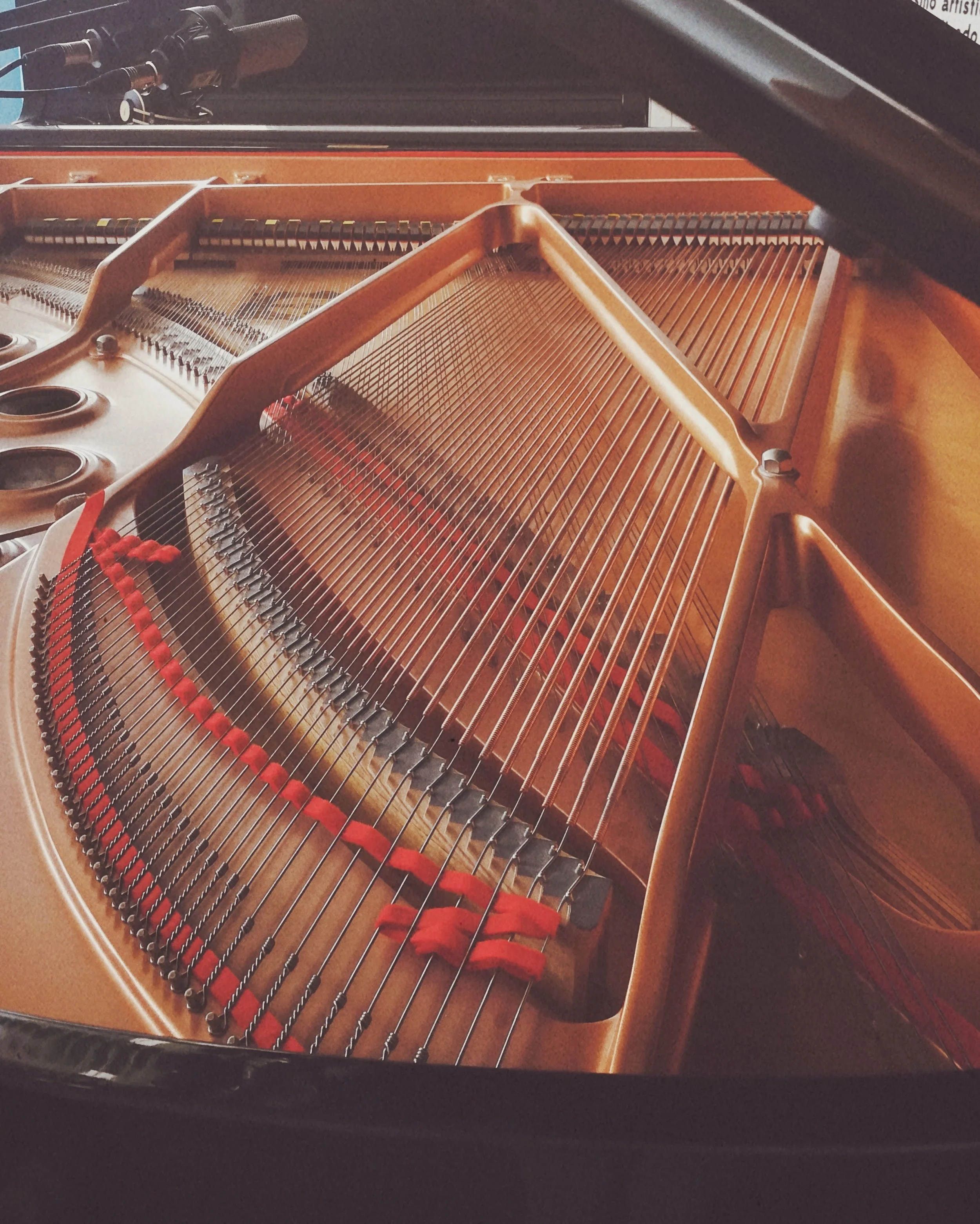 Inside view of a grand piano showing strings, tuning pins, and hammers.