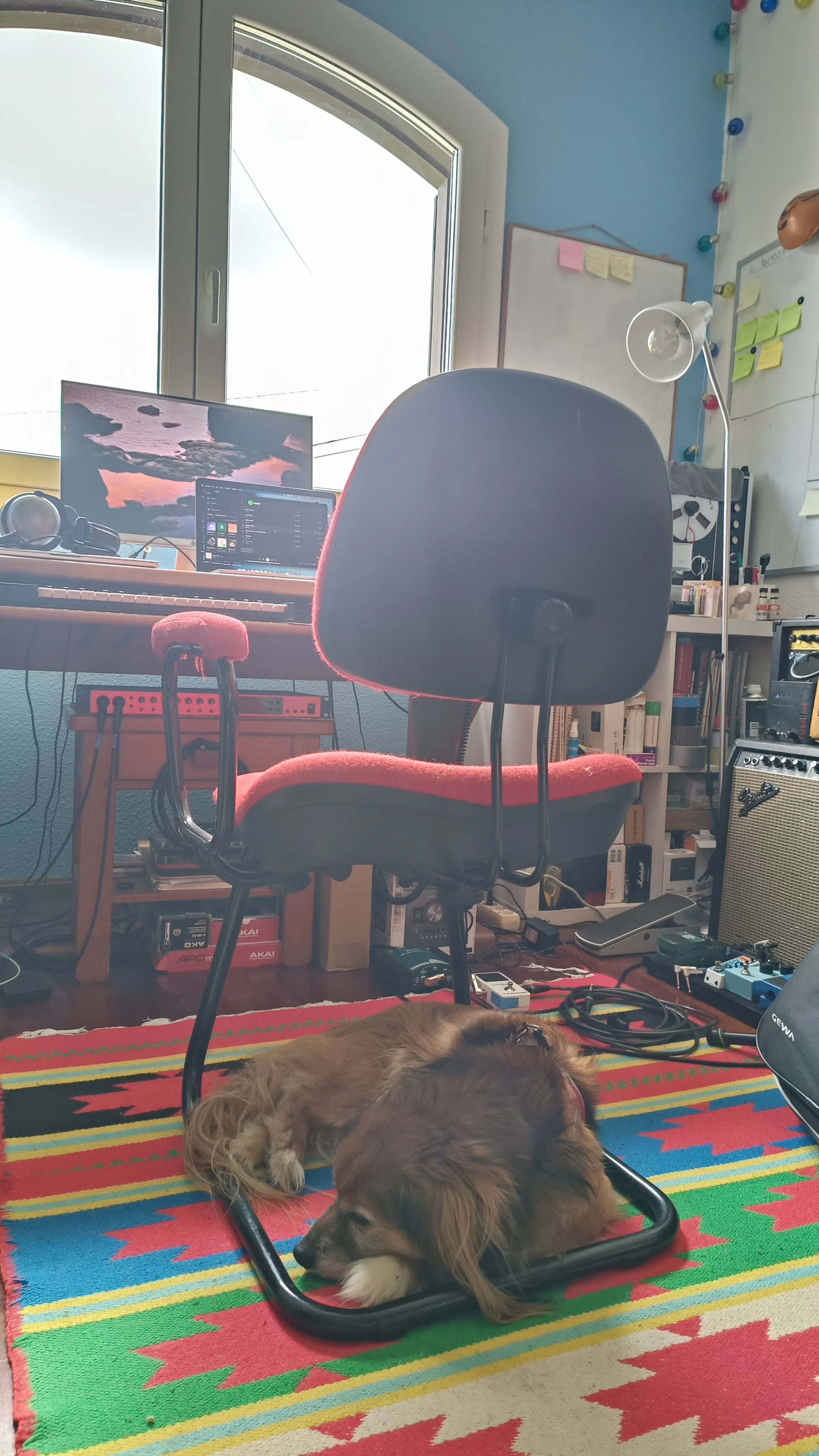 A room with a red office chair in the center, in front of a computer setup on a wooden desk, with a dog lying on a colorful rug in the foreground. The room has a window, bookshelf, and various electronic equipment and cables visible.