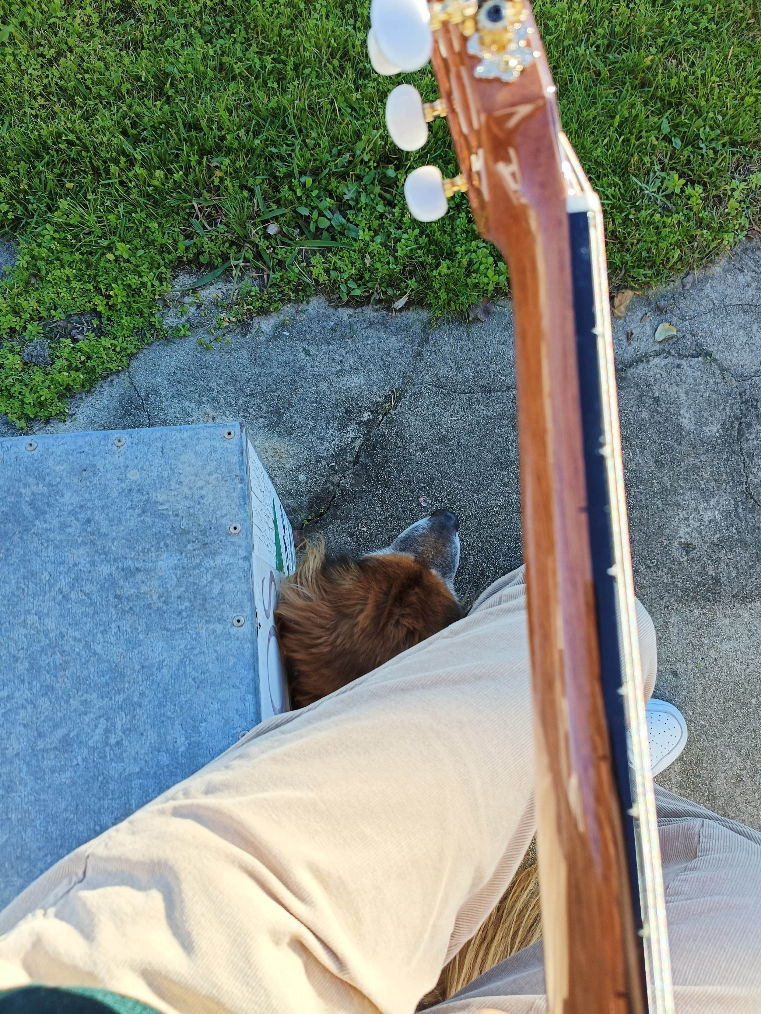 The image shows a top-down view of a person standing on a concrete surface with some greenery, holding a wooden guitar. The person's legs and part of their beige pants and white Crocs are visible. A dog is near their feet, and there is a metal object