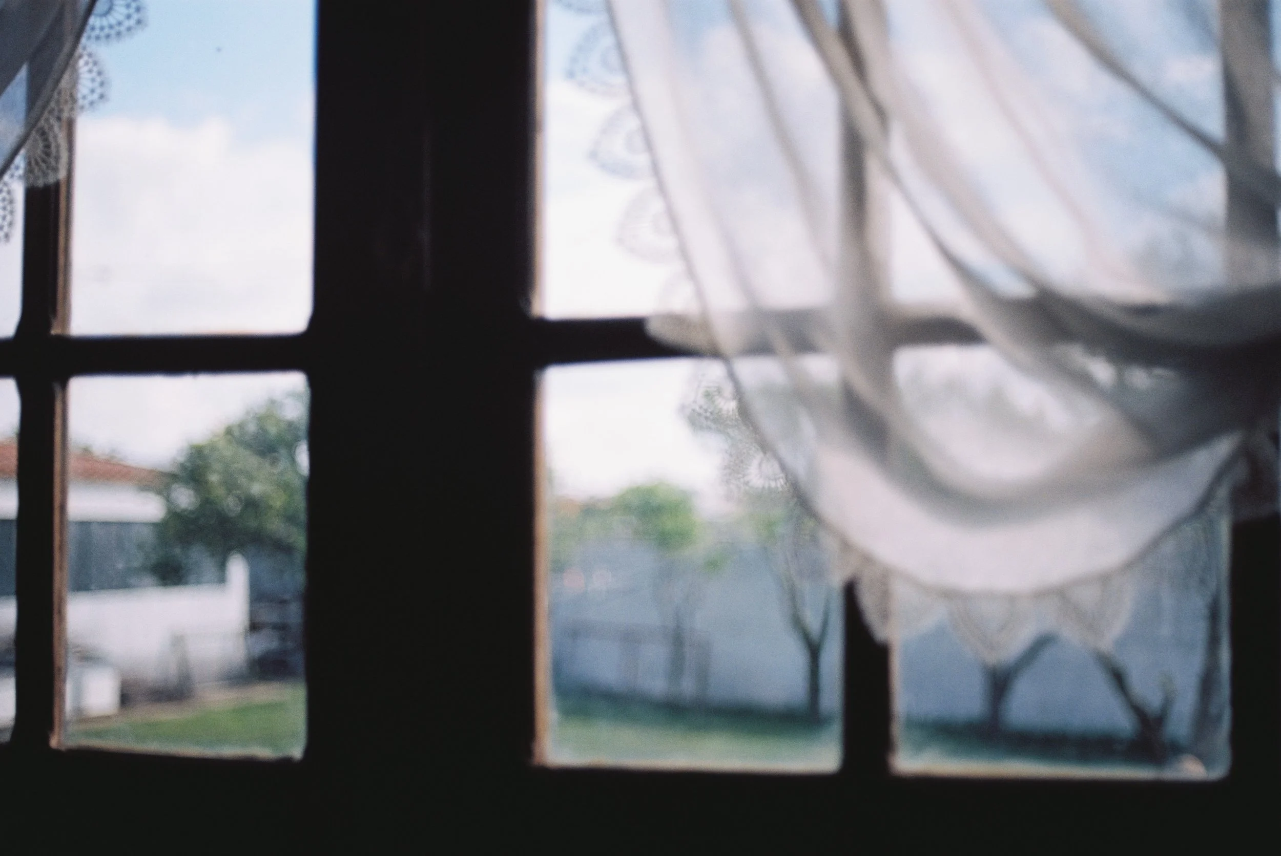 Looking through a window with a sheer curtain, showing a house and trees outside on a bright day.