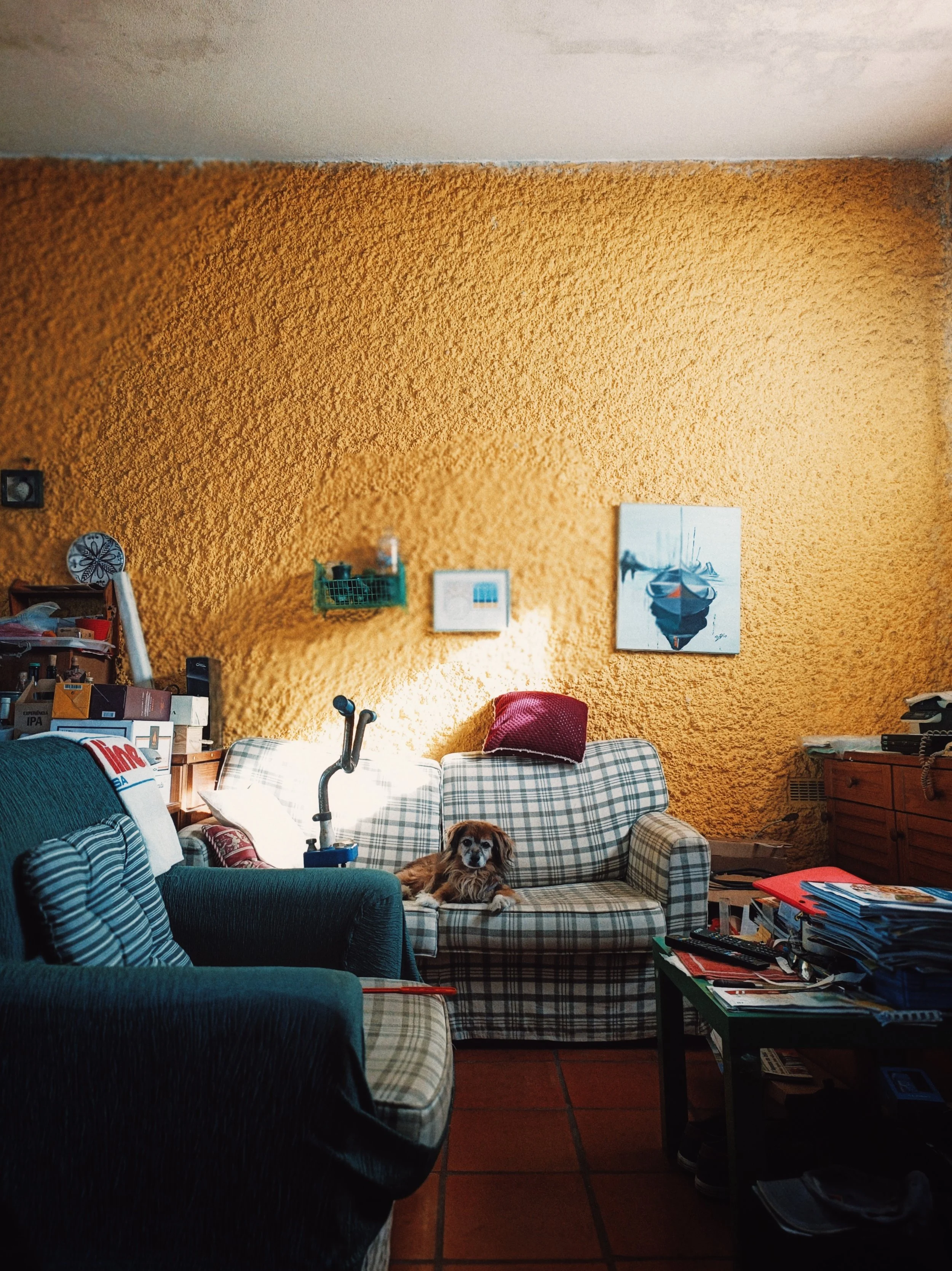Living room with an orange textured wall, a plaid sofa with a red pillow, a dog lying on the sofa, a small table with books and papers, and wall decorations including a painting of a boat and framed pictures.