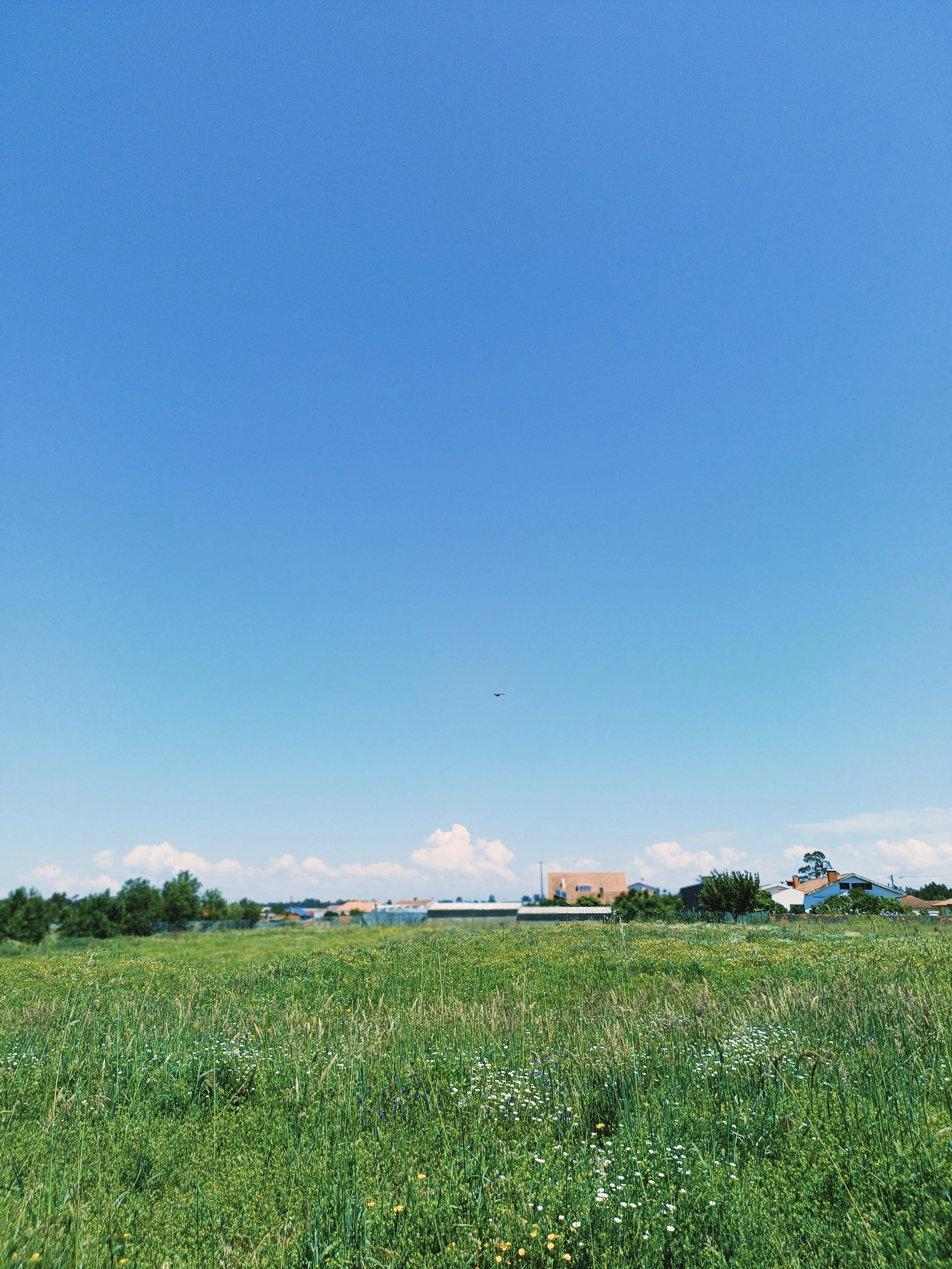 A rural landscape with a grassy field in the foreground, houses in the middle ground, and a clear blue sky with some clouds and a small airplane flying in the distance.