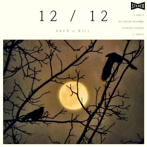Silhouette of leafless tree branches with a full moon and birds perched on the branches at night.