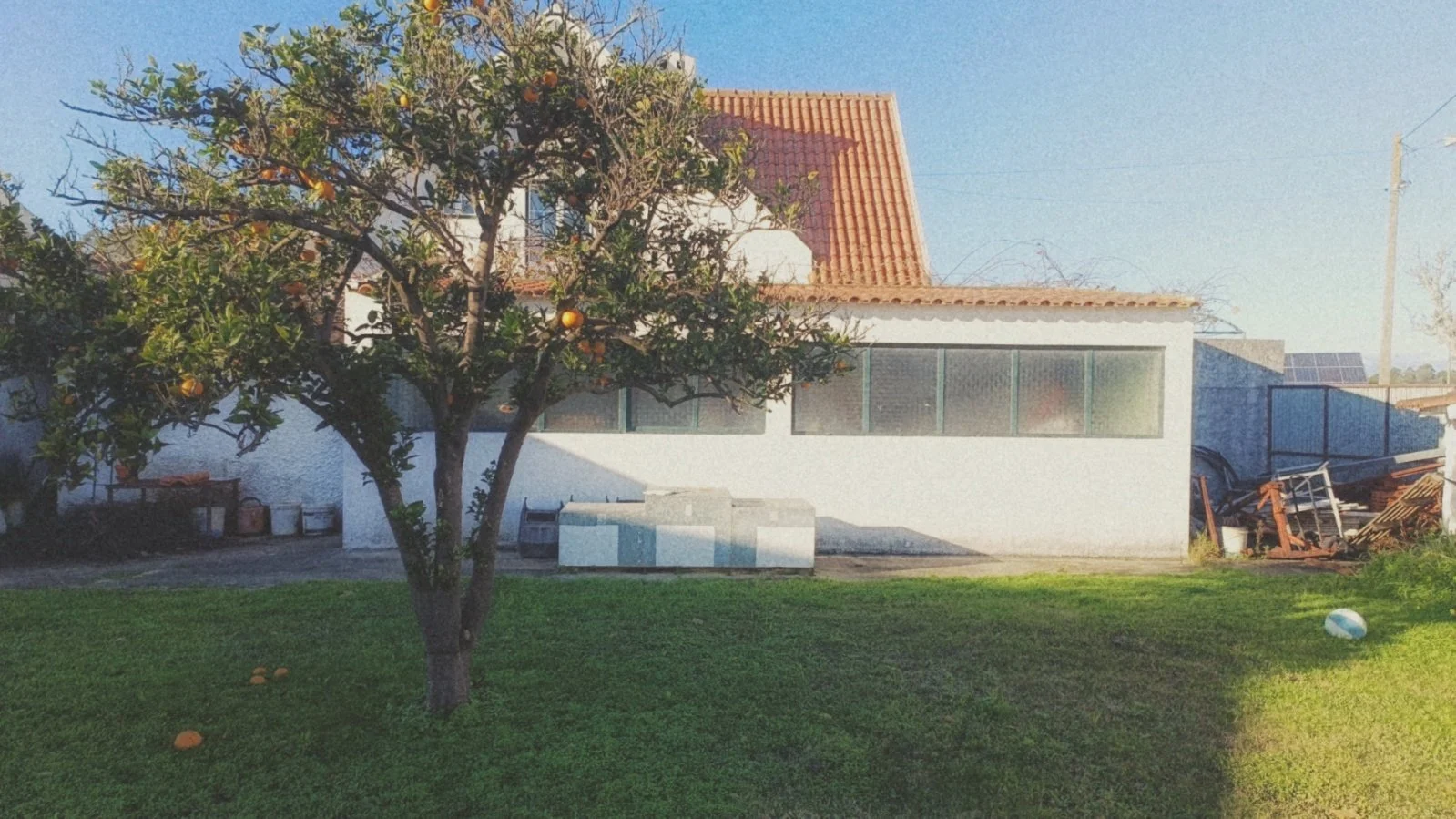 A backyard with a green lawn, a fruit tree with oranges, a white house with large windows and a red-tiled roof, and some objects on the side including a pile of wooden planks and a pool float.