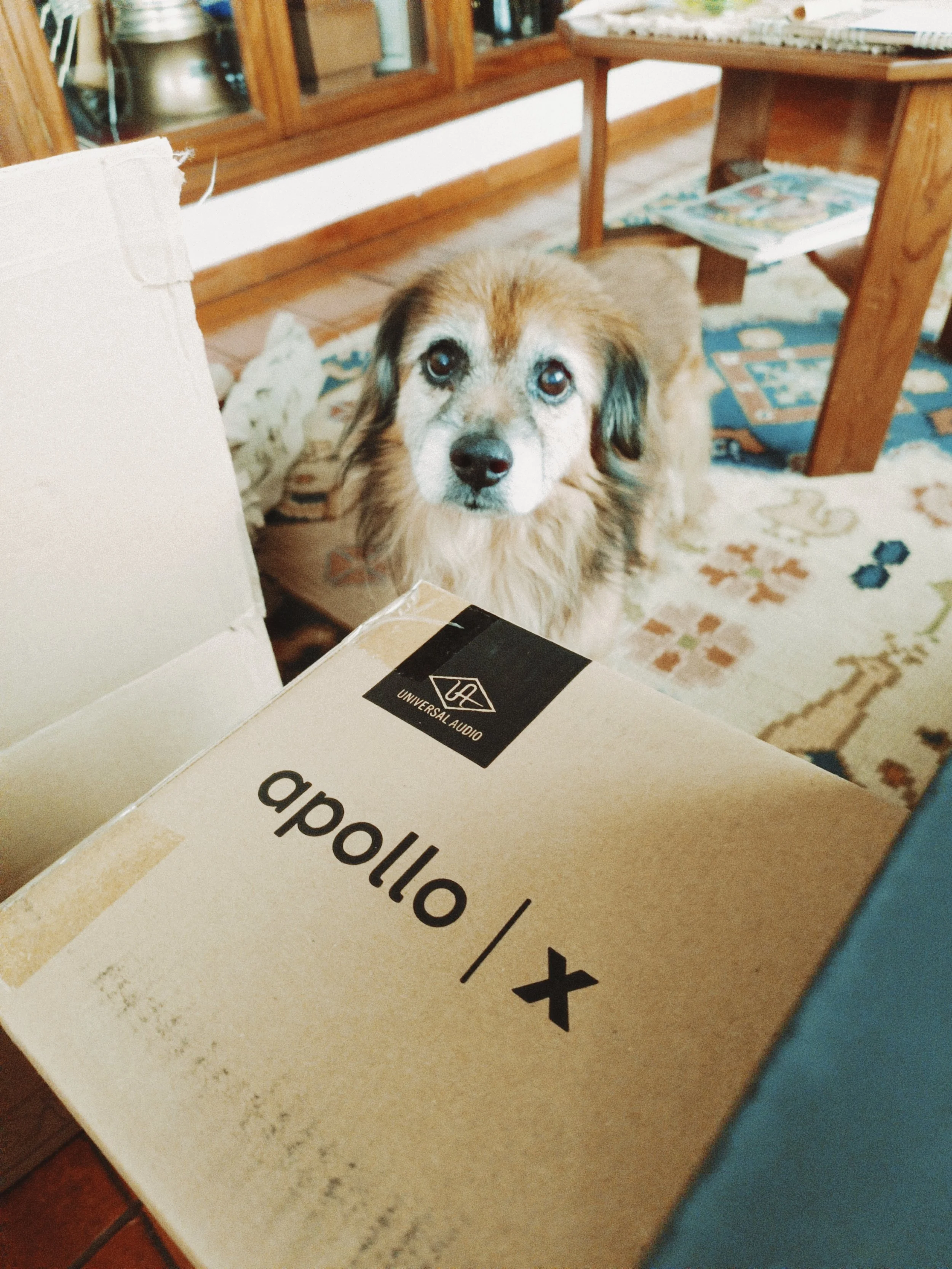 apollo x8p gen 2 unboxing