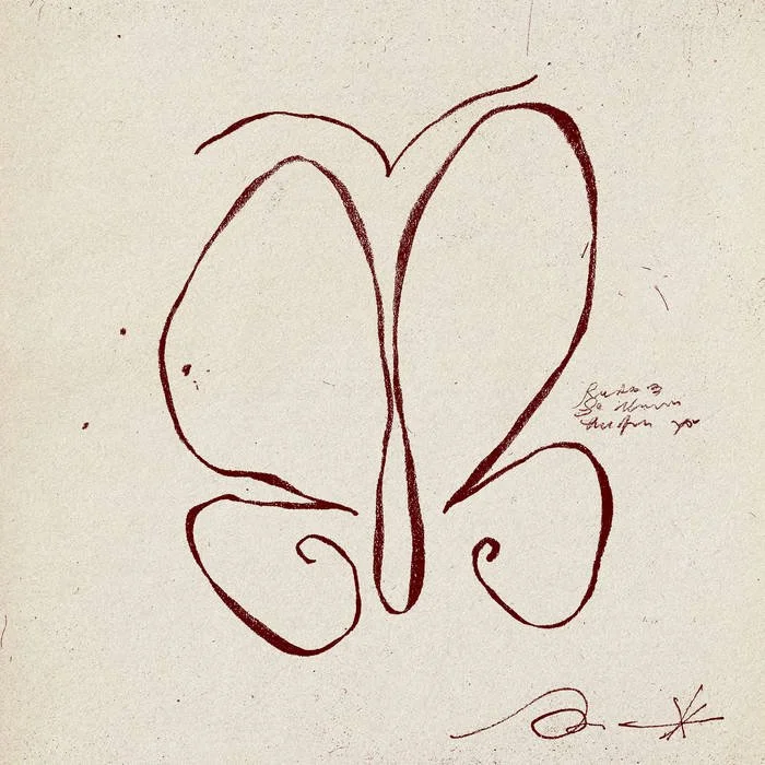 A simple line drawing of a butterfly on a plain background.
