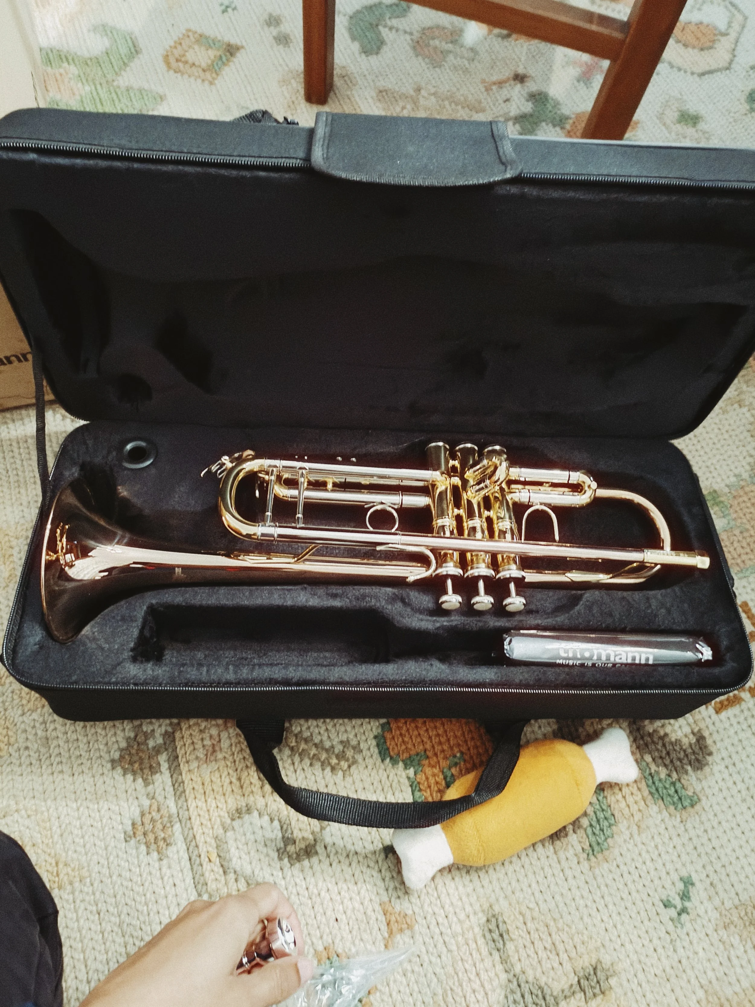 A percussion instrument, likely a trumpet, inside a black carrying case with foam padding. There is a hand with rings holding a small plastic bag near the case, and a sock-shaped plush toy underneath the case on a patterned carpet.