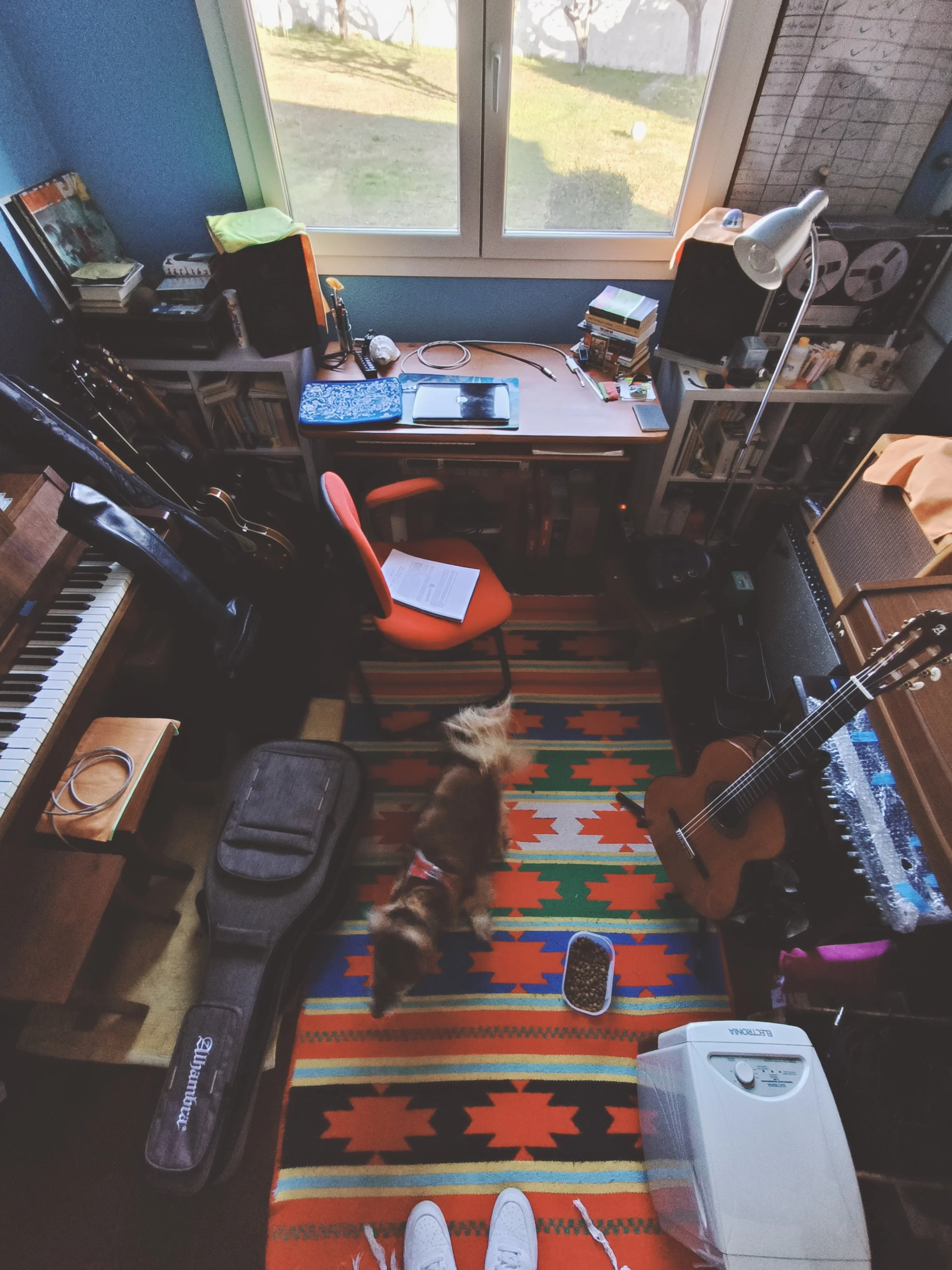 A bird's-eye view of a room with a colorful carpet. There's a computer desk with various items, a guitar on the right, books, and a window showing an outdoor scene. A small dog stands on the carpet facing the camera, and a pair of white sneakers is v