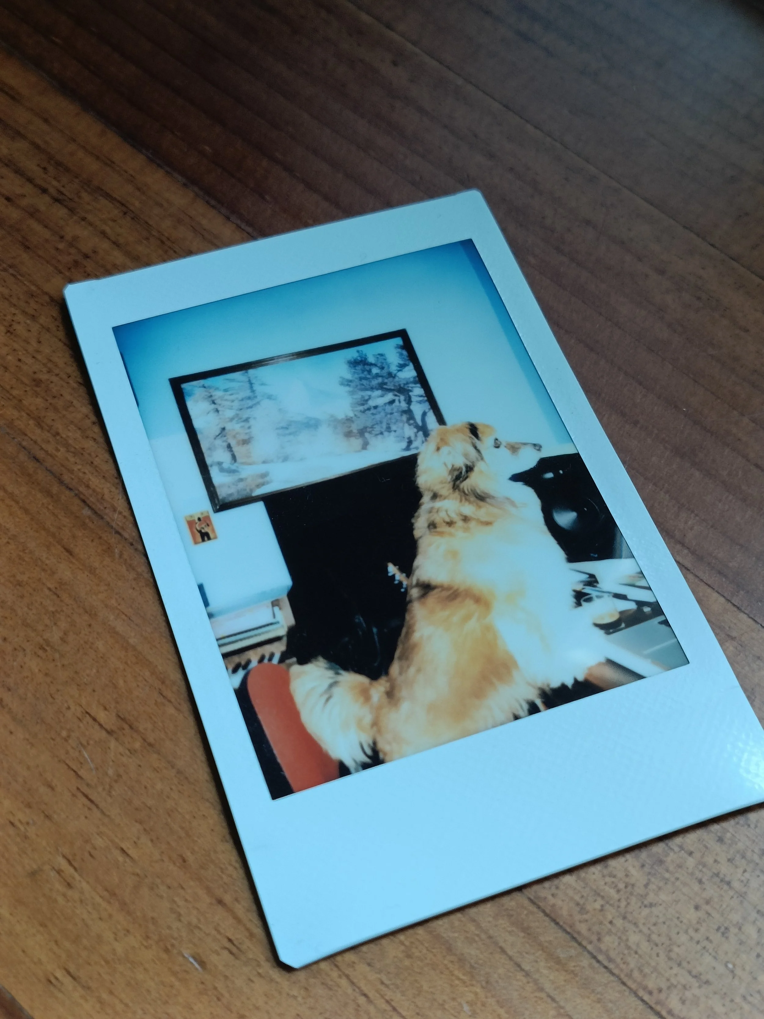 A photograph of a framed picture on a wooden surface. The picture depicts a golden retriever dog sitting indoors in front of a window, looking out at a snowy landscape with trees.