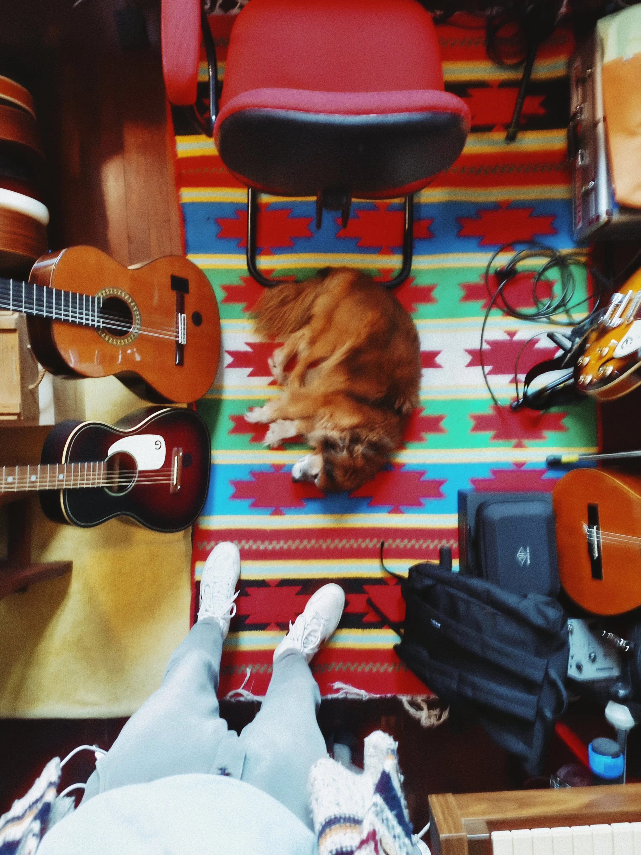 View from a person's perspective standing on a patterned rug, looking down at their feet in white sneakers and blue jeans, with a dog lying on its back and a red chair, guitars, and various objects around in a room.