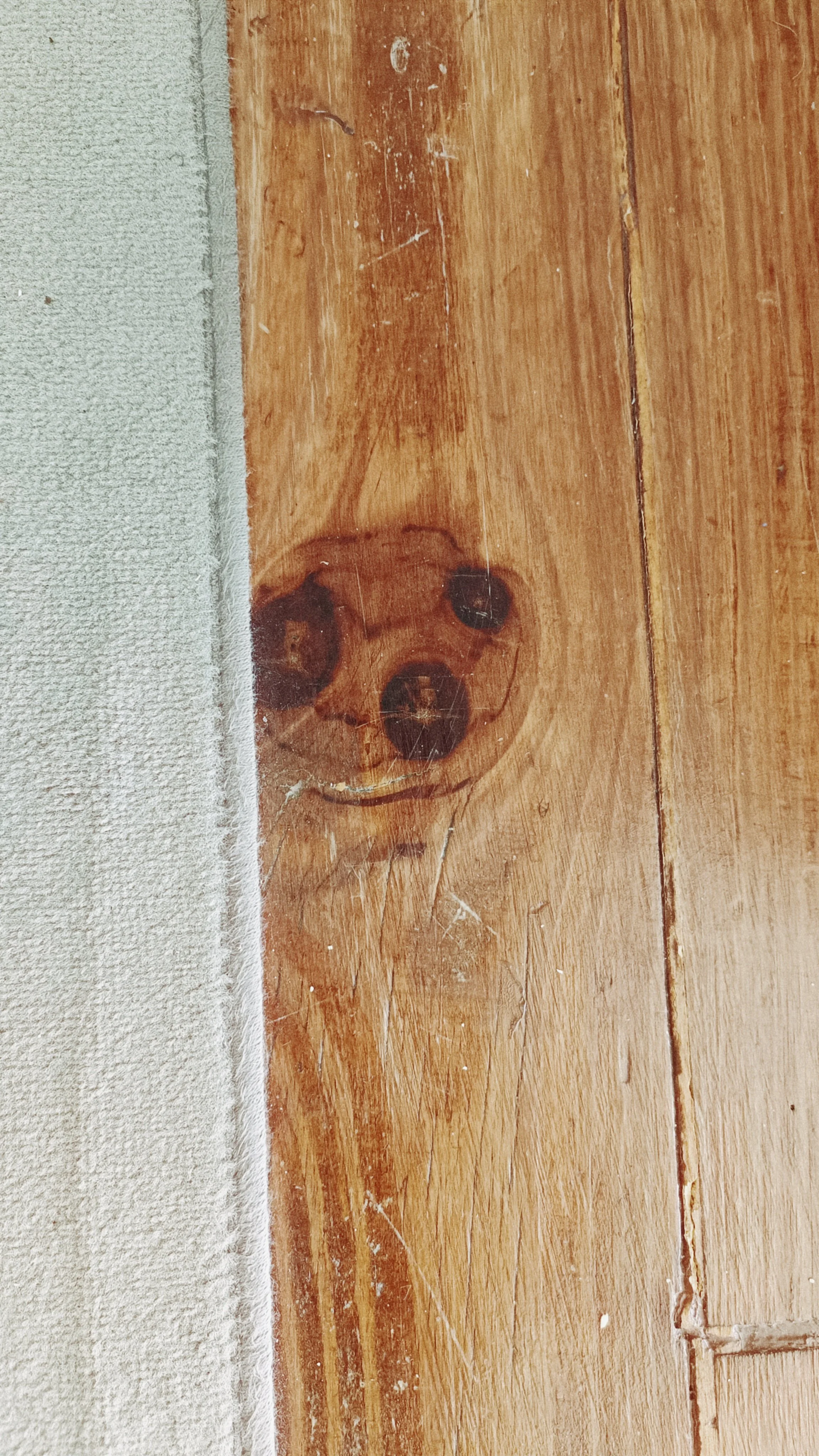 A wooden floor with a small, faint, circular stain or mark, next to a textured white wall.
