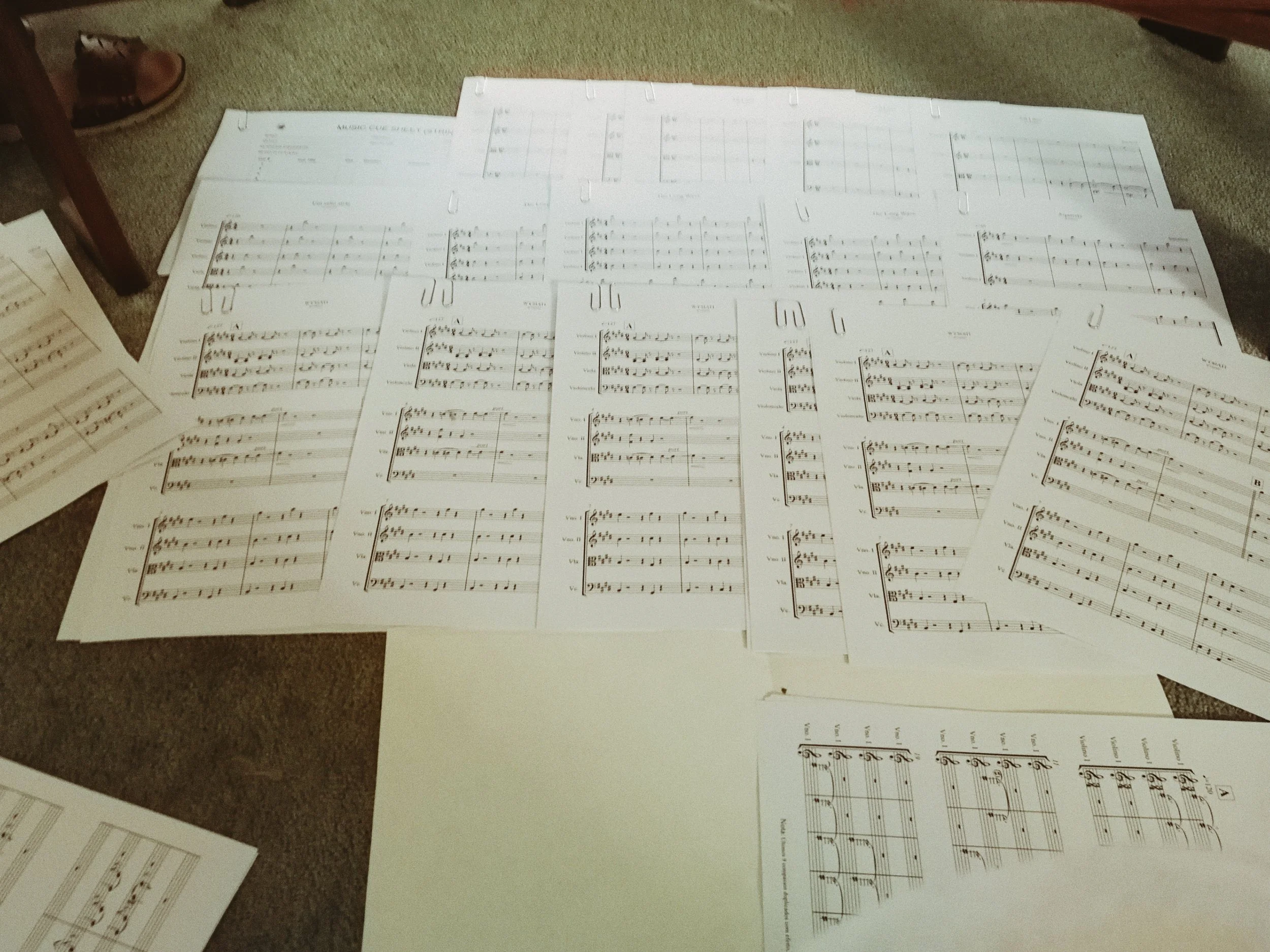 Several sheets of music and sheet music sheets scattered on a brown carpeted floor, with part of a person's foot visible.
