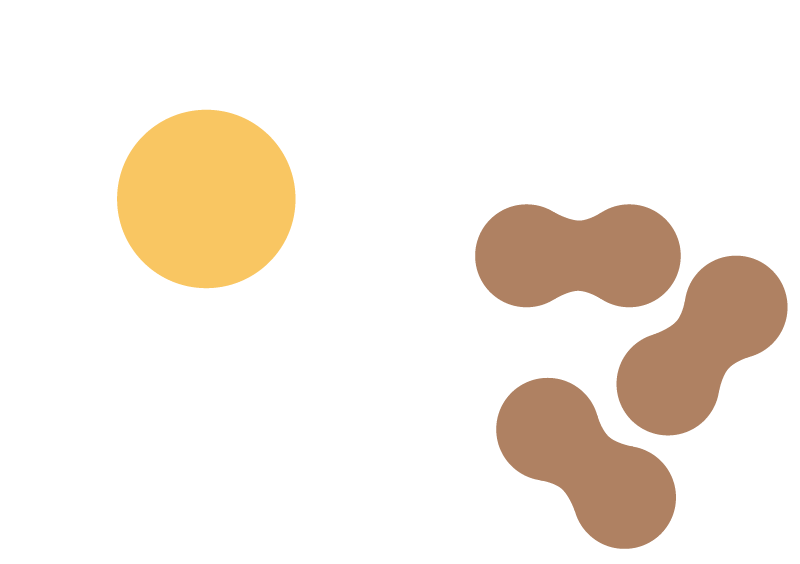 Food Allergies Treatment Brisbane Paediatric Allergist Imunologist Children's Allergy Specialist Dr Sophie Willcocks