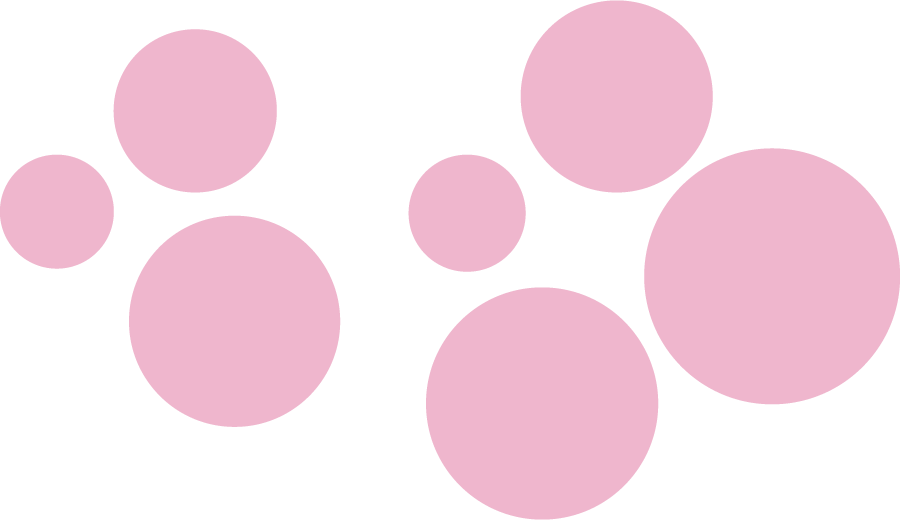 Dr Sophie Willcocks Harmony Allergy Clinic Brisbane