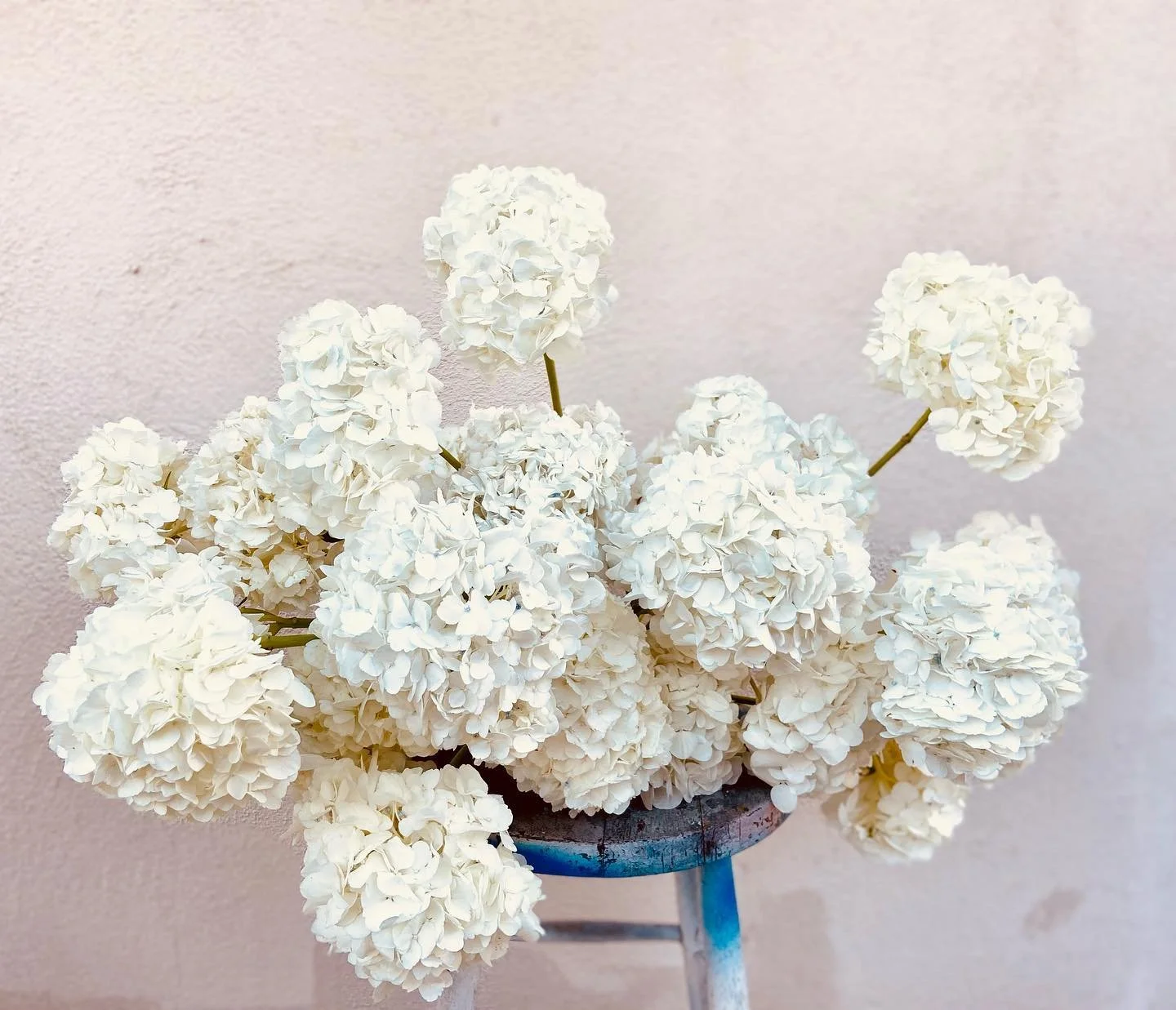 we don&rsquo;t need floral foam to have a good time! 
.
.
.
#nofloralfoam #hydrangeas #flowers #florist #floraldesign #flowerstagram #floral #artistsoninstagram #artoftheday