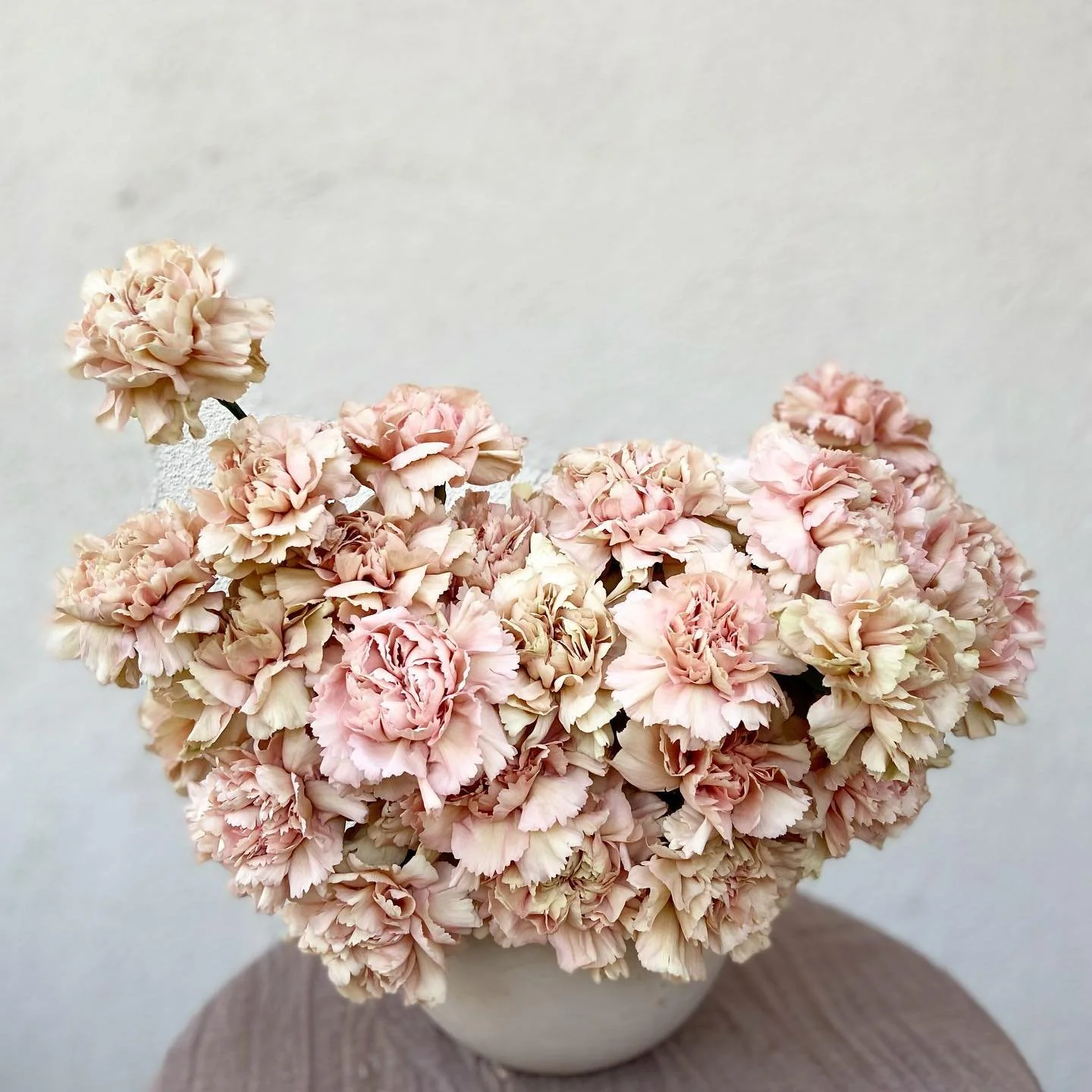 playing with an over purchase, I also love carnations. they don&rsquo;t deserve the bad rep! 
.
.
.
.
.
#flowers #carnations #longbeachflorist #losangelesflorist #floraldesign #florist #orangecountyflorist #flowerstagram #flower_daily #flowersofinsta