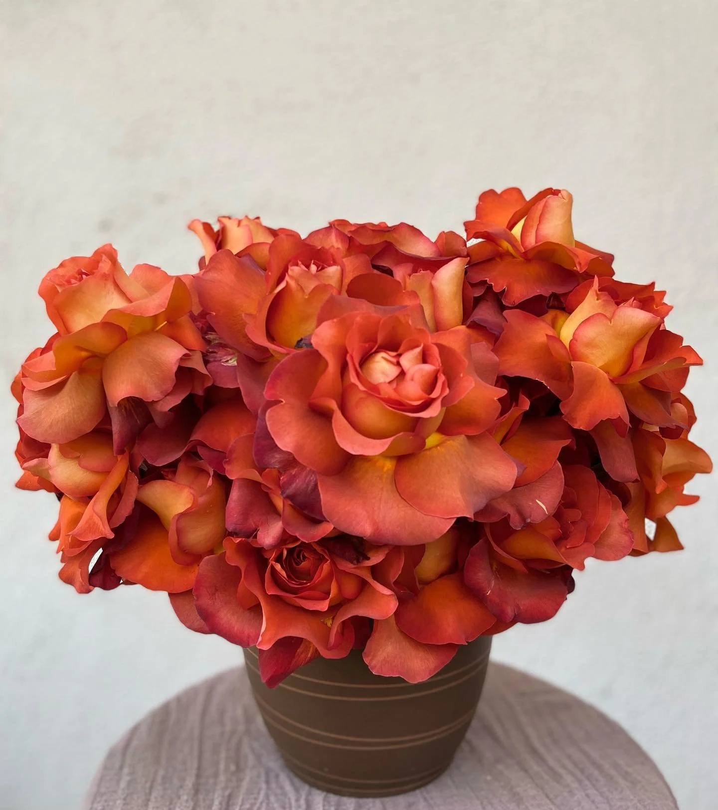 stone fruits. 🍑 
.
.
.
#reflexedroses #longbeachflorist #losangelesflorist #roses #floraldesign #peachflowers #peachroses