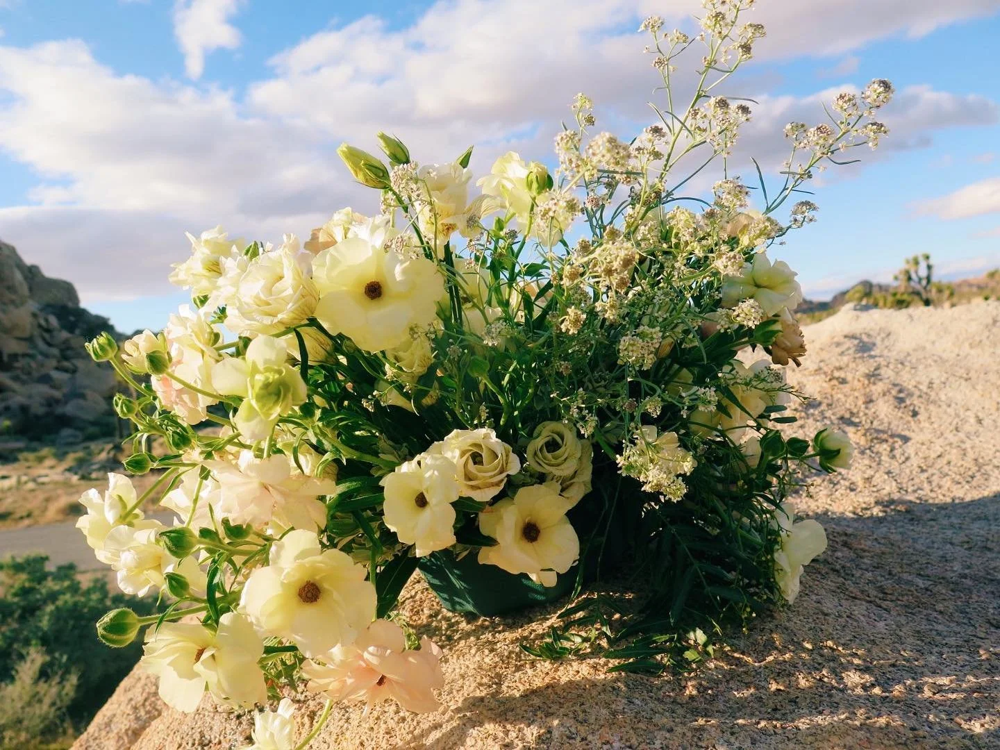 wildflower season, with a super bloom thanks to all of the rain.