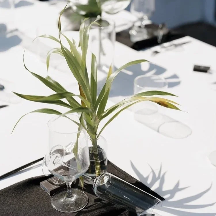 A table setting with a glass vase containing a leafy green plant, an empty wine glass, and other glassware on a white tablecloth with black accents.