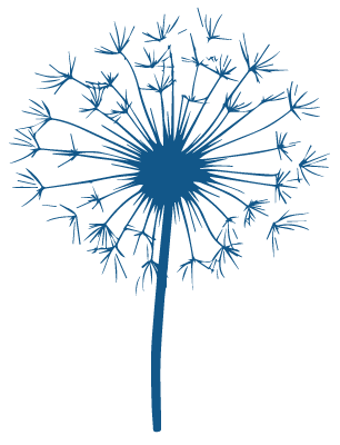 A blue dandelion with a long stem and a round, fluffy seed head.