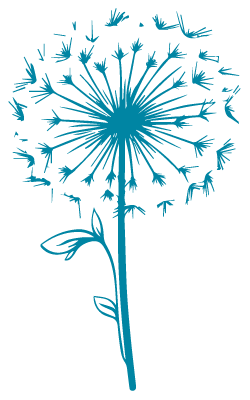 Silhouette of a dandelion flower with seeds blowing in the wind.