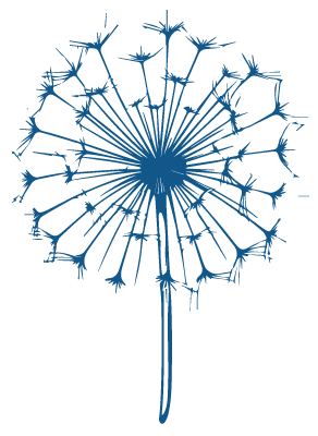 A detailed, blue silhouette illustration of a dandelion seed head with individual seeds radiating outward.