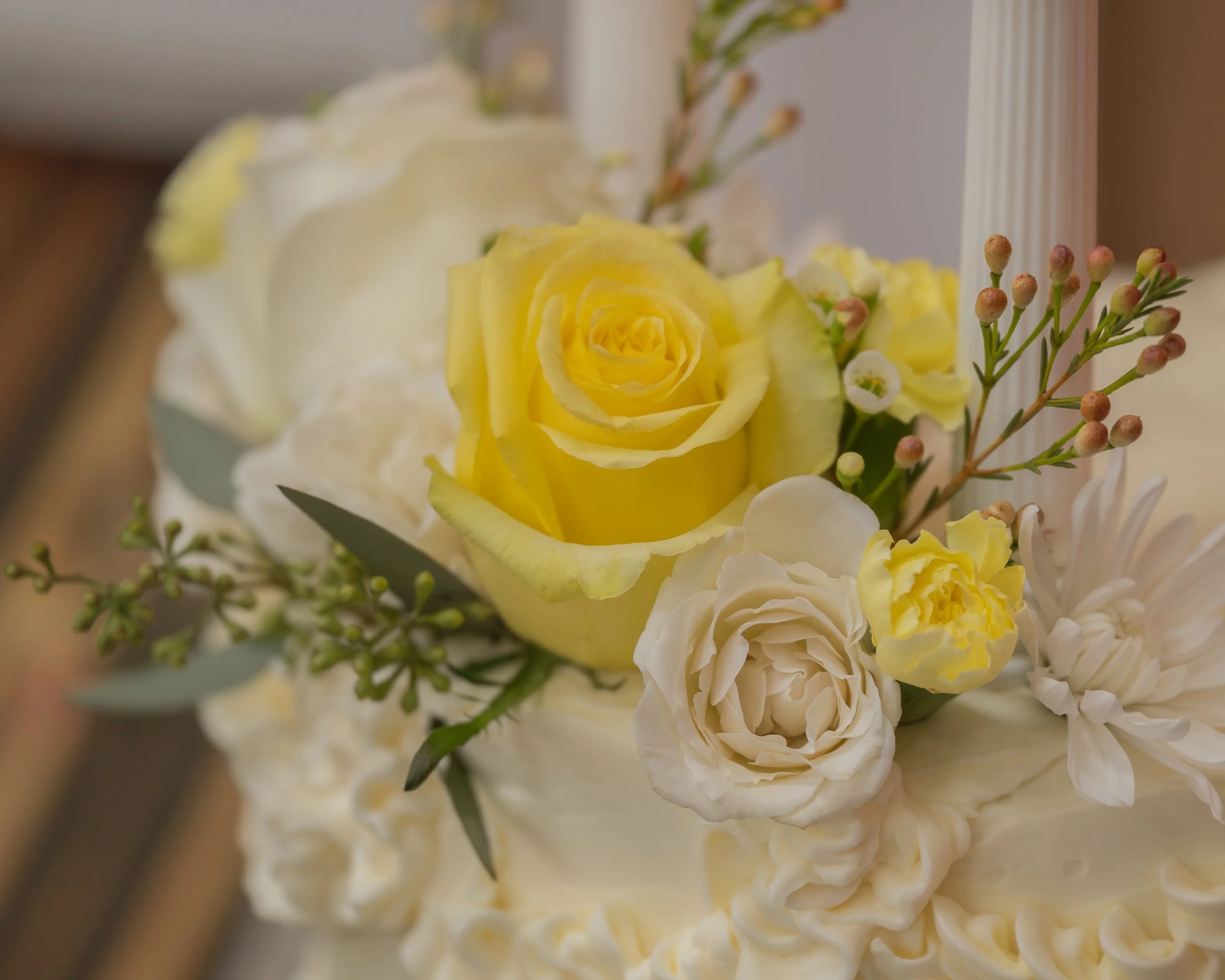 rachel sneak peek-09.JPG