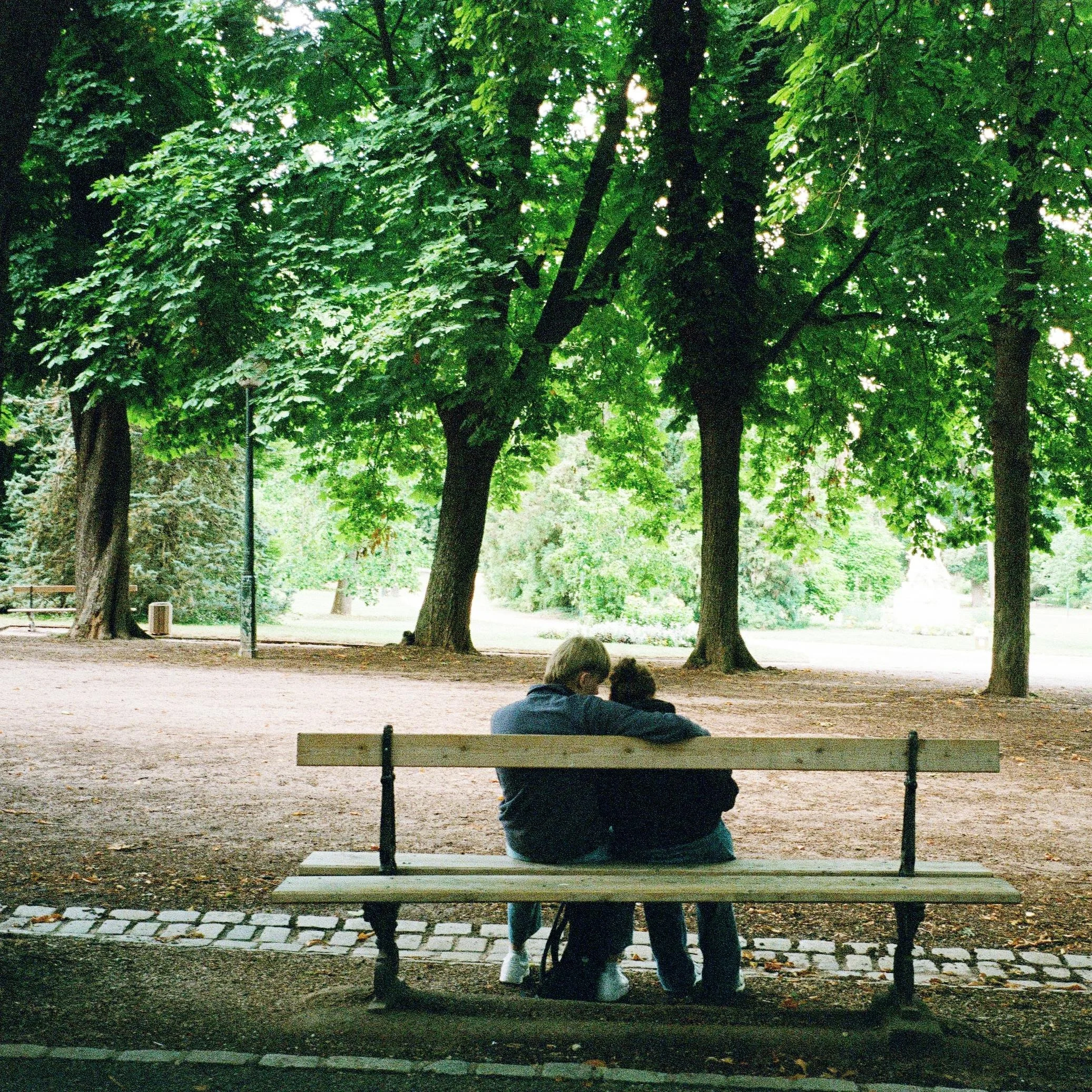 A couple sitting on a park bench underneath large green trees, with their arms around each other, in a peaceful outdoor setting. Telehealth couples counseling with Meghann Carvin Therapy