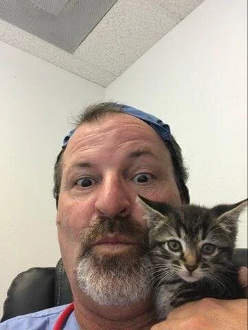 A man with a beard and mustache, wearing a blue cap backwards, holding a small tabby kitten. They are indoors with plain white walls and a ceiling tile visible.