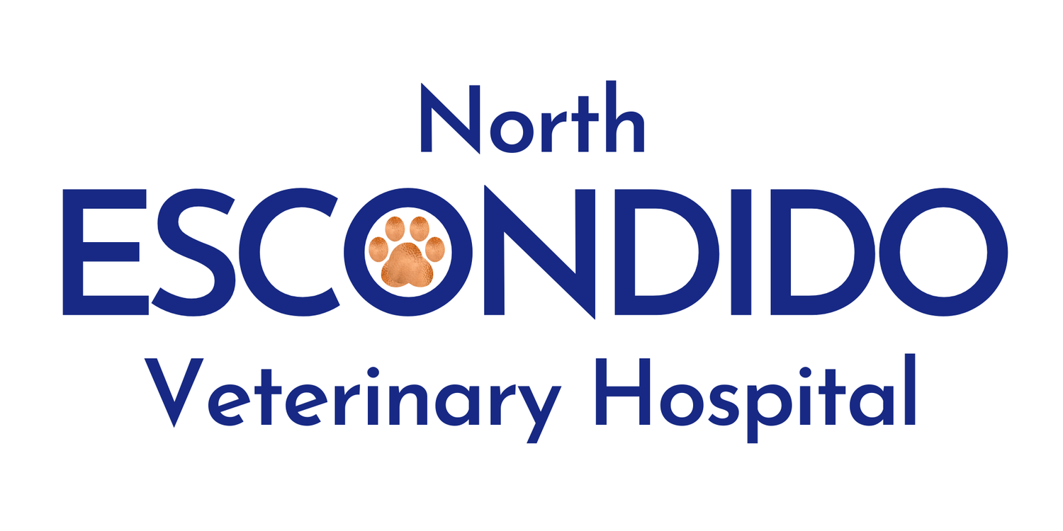 Bonsall Pet Hospital (Copy)