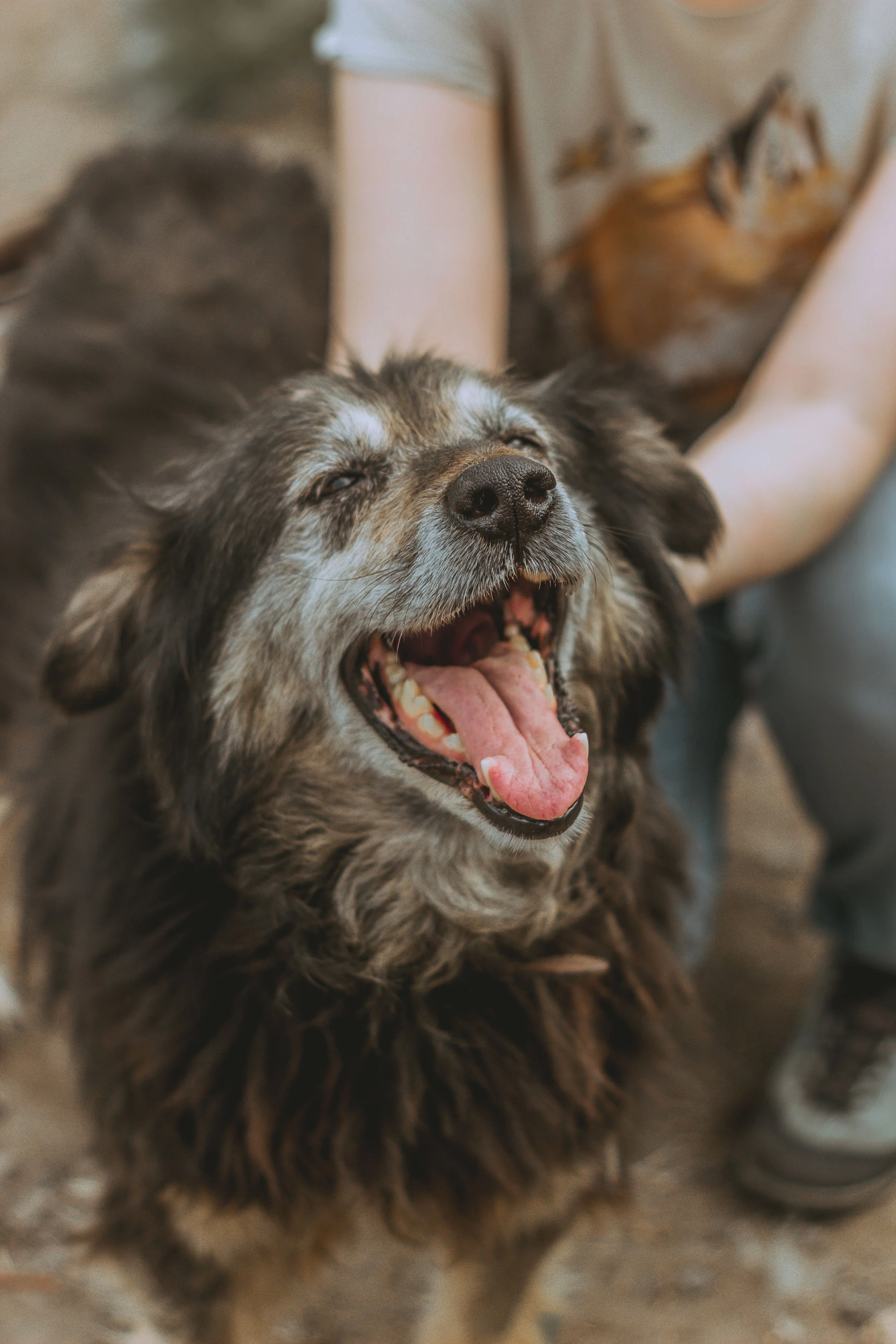 pexels-aleksey-nosov-81016902-10249034.jpg