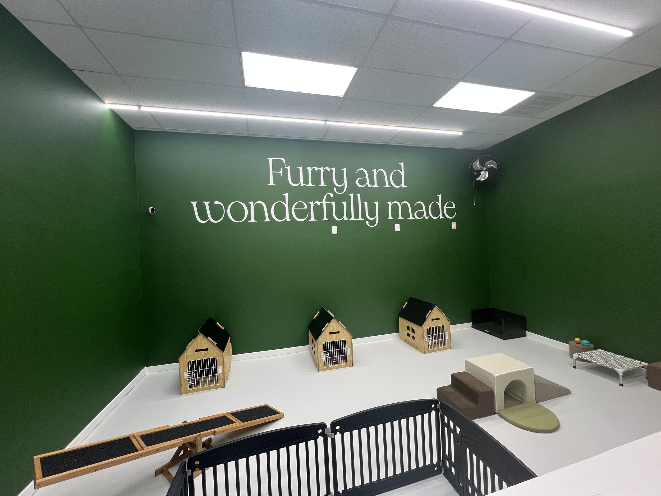 A room with a dark green wall that has white text reading 'Furry and wonderfully made'. The ceiling has white acoustic tiles with fluorescent lighting. There are small wooden pet houses on the floor, a cage, and various pet accessories, indicating it is a space for pets, likely a pet daycare or adoption center.