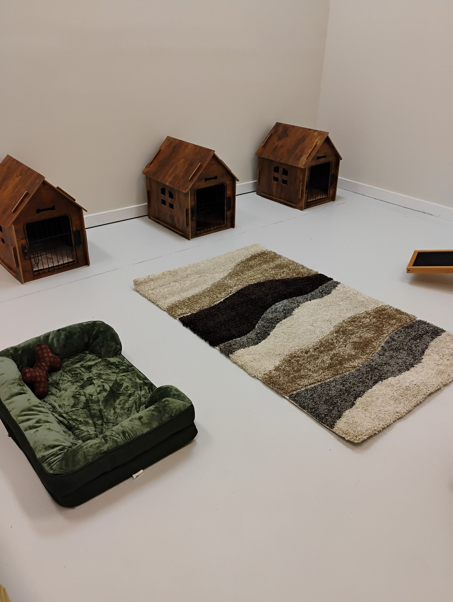 Three wooden pet houses with black metal doors, a multi-colored rug, and a green pet bed with a red paw print pillow on a white floor against white walls.
