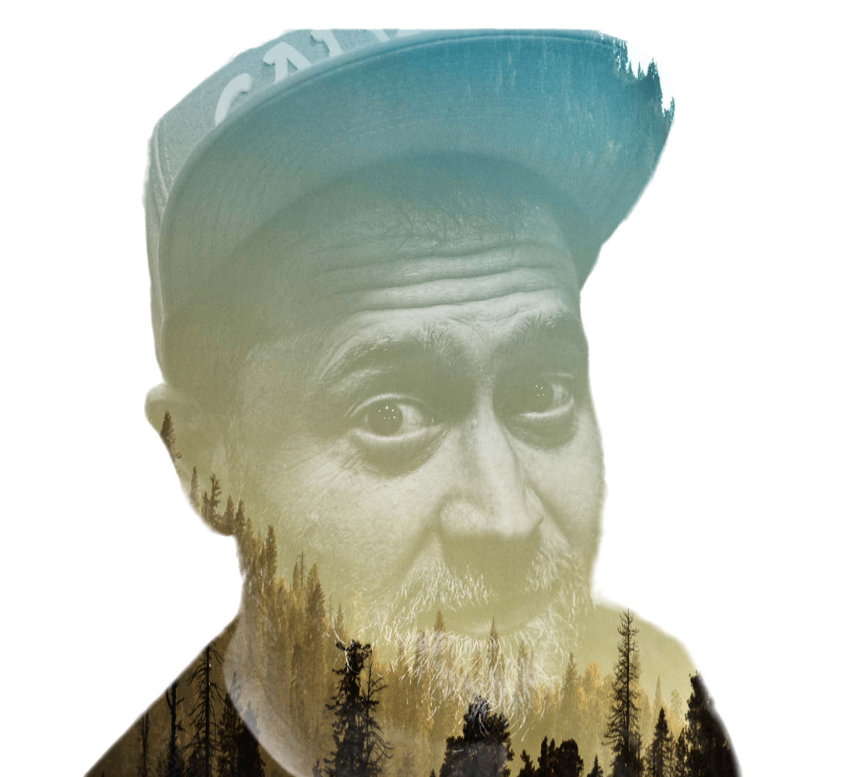 Digital art depicting a man's face with a forest scene overlaid, blending the man's features with trees and natural landscape elements.