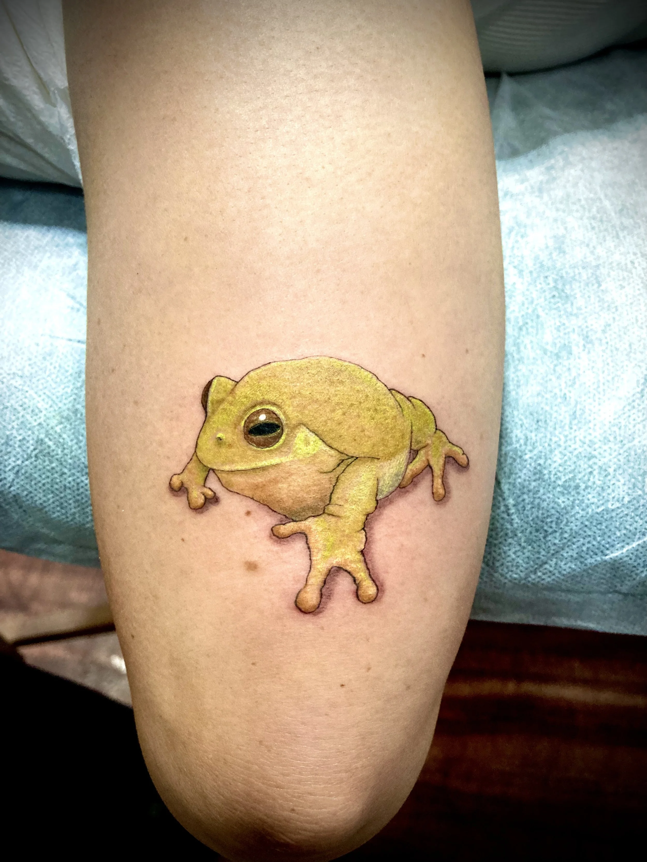 Close-up of a person's arm with a tattoo of a yellow-furred frog with large eyes, positioned on the inner forearm.