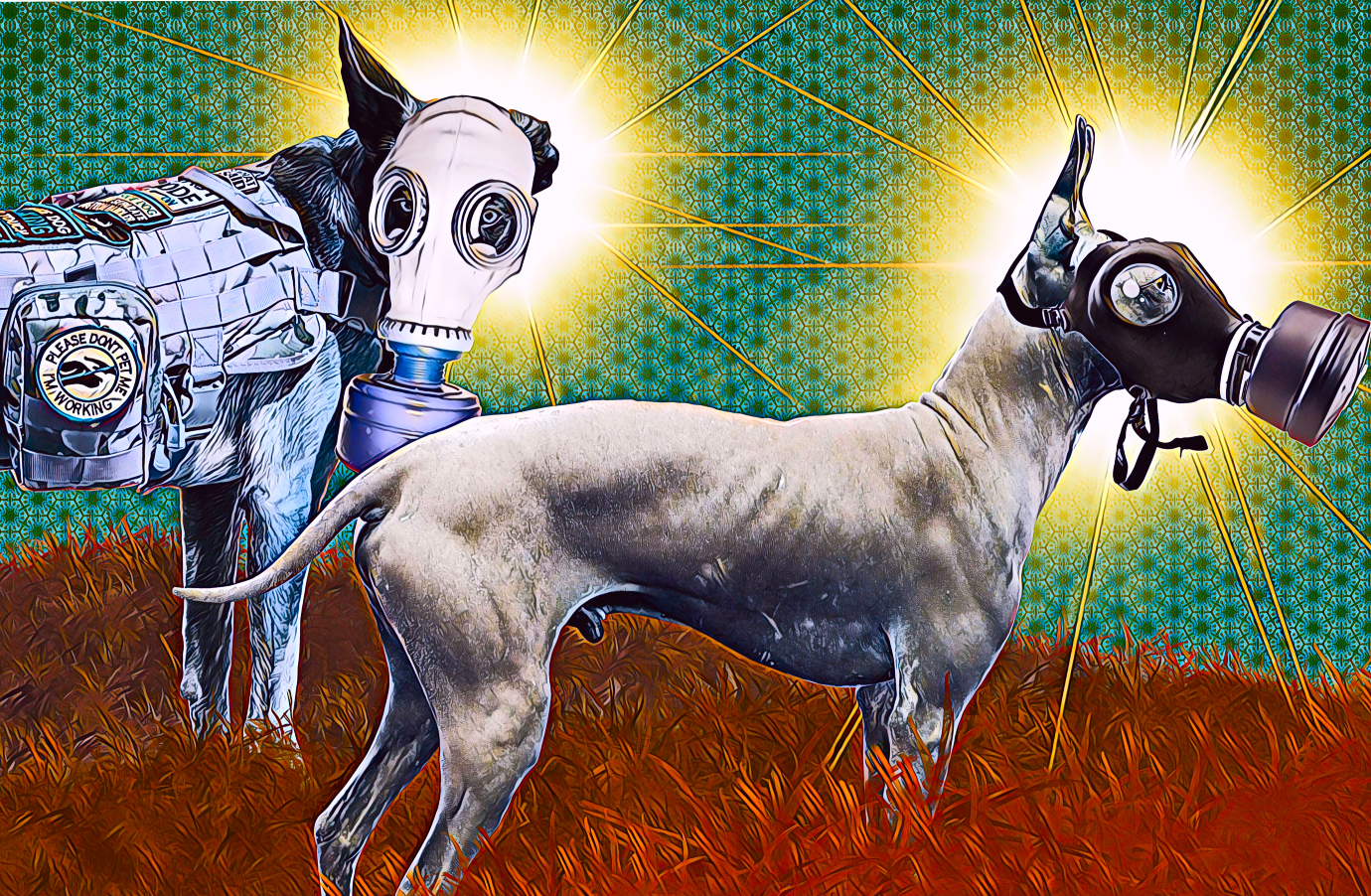 Illustration of two dogs wearing gas masks, with glowing halos behind their heads, standing in a field of red grass against a patterned green and blue background.