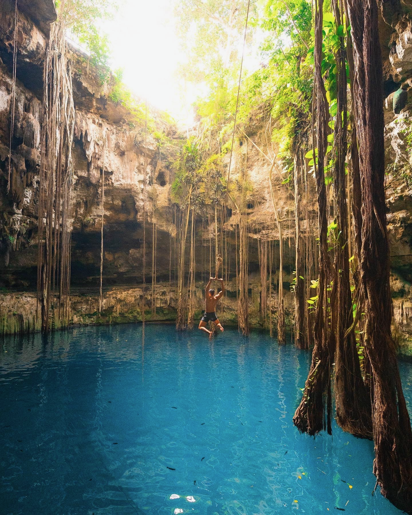 A person swinging on a rope over a blue water cenote surrounded by rocky cliffs and hanging roots, with sunlight filtering through the green foliage above.