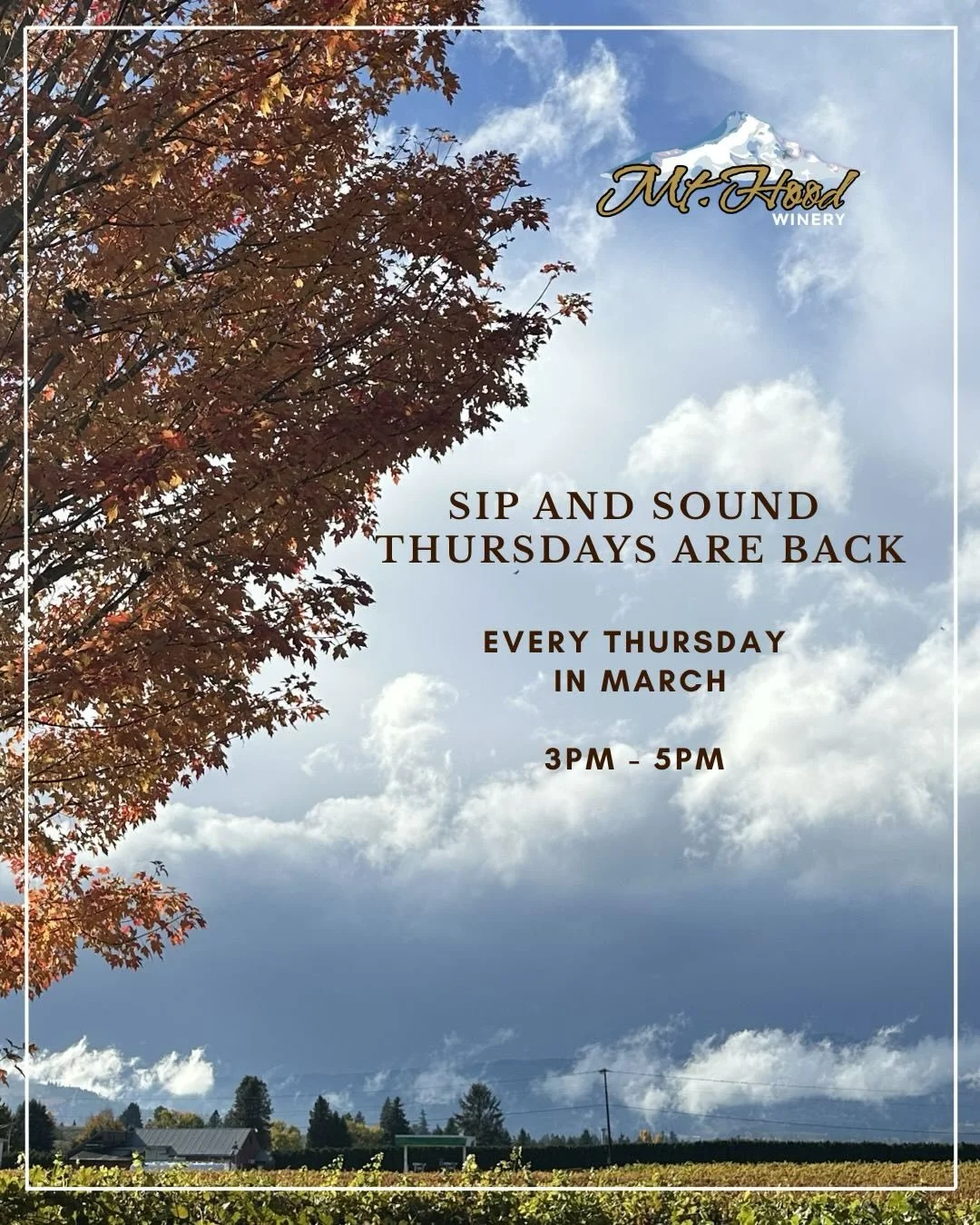 Sip &amp; Sound Thursdays are back! 🍷🎶
Every Thursday in March | 3&ndash;5pm

Live music inside the tasting room or on the patio (weather permitting).

Swipe to see our March lineup! ✨